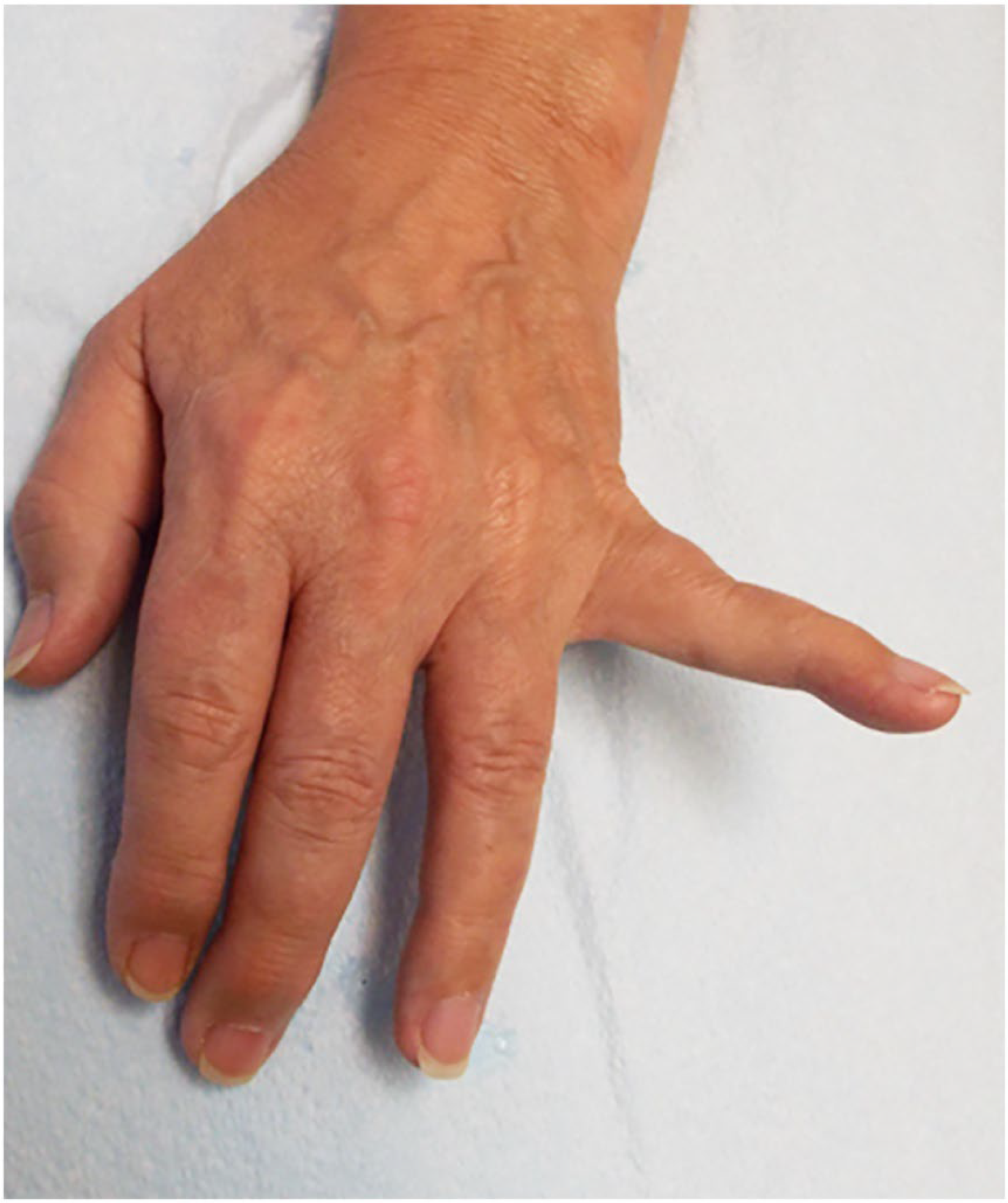 Neurolint 17 00097 g005