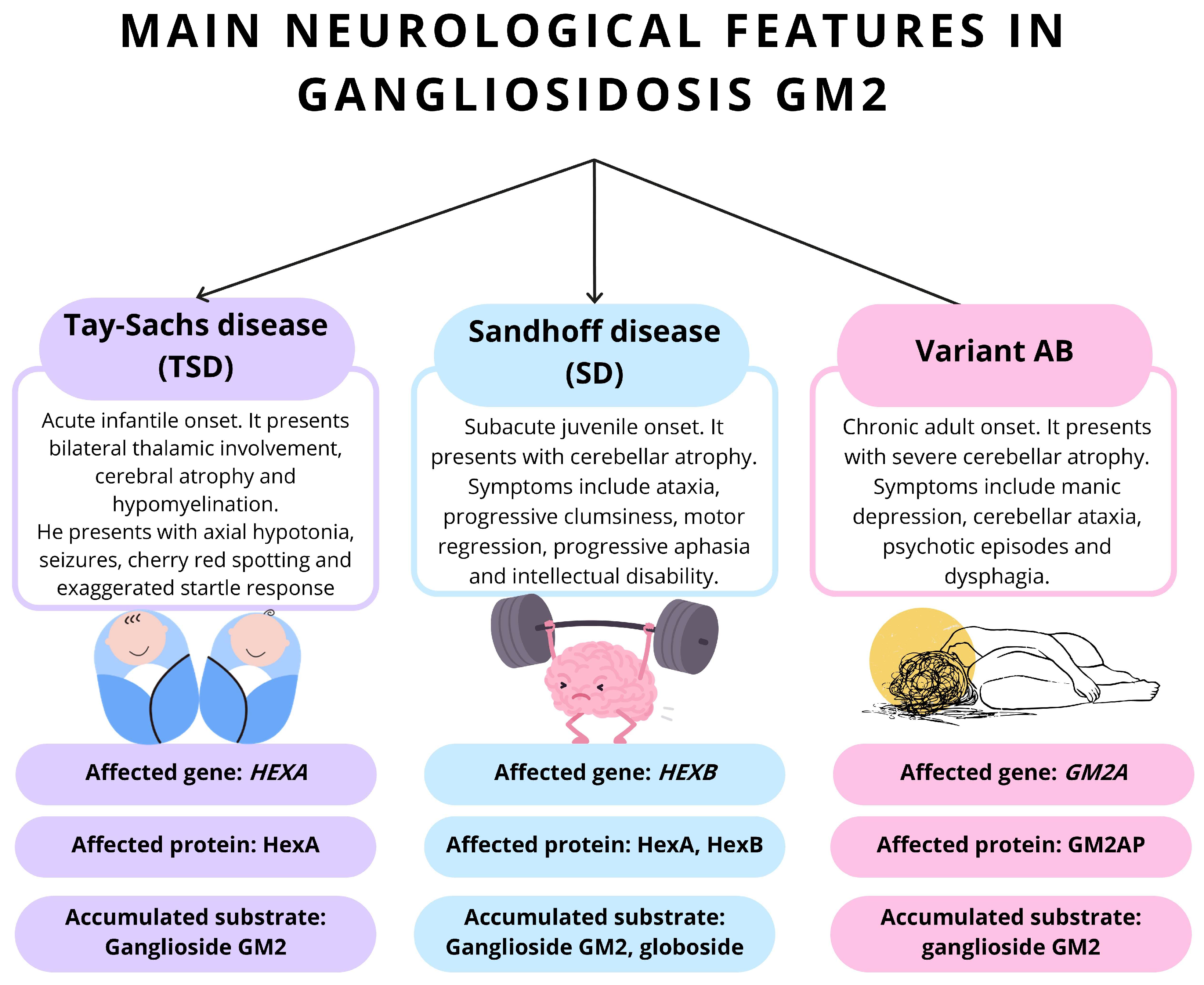 Neurolint 17 00098 g001