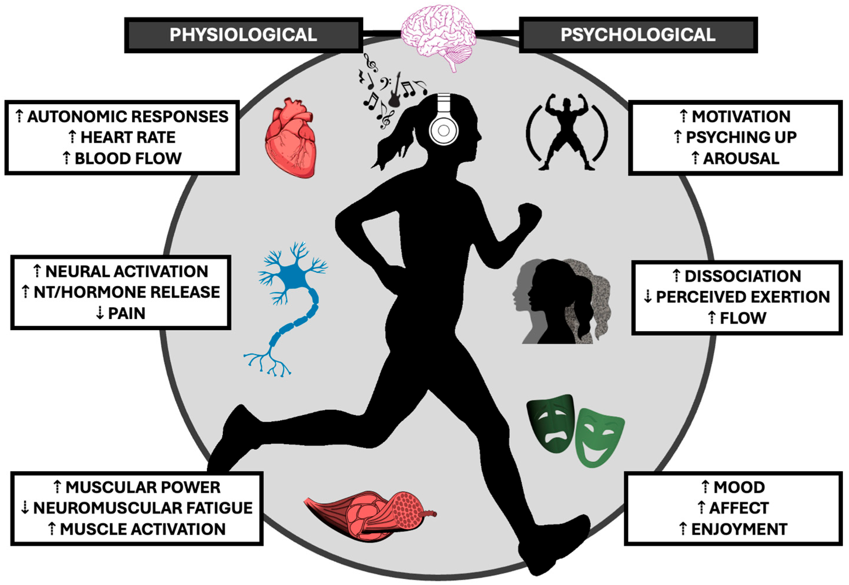 Neurolint 17 00106 g001