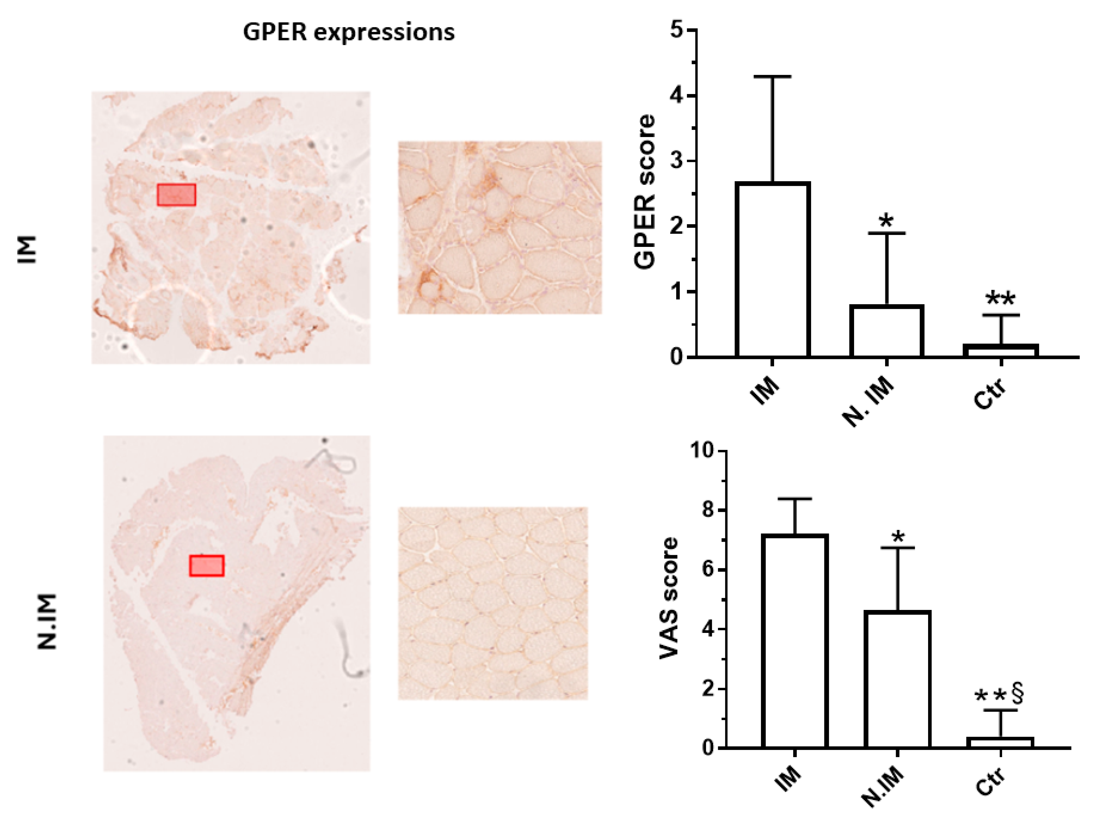 Neurolint 17 00109 g001