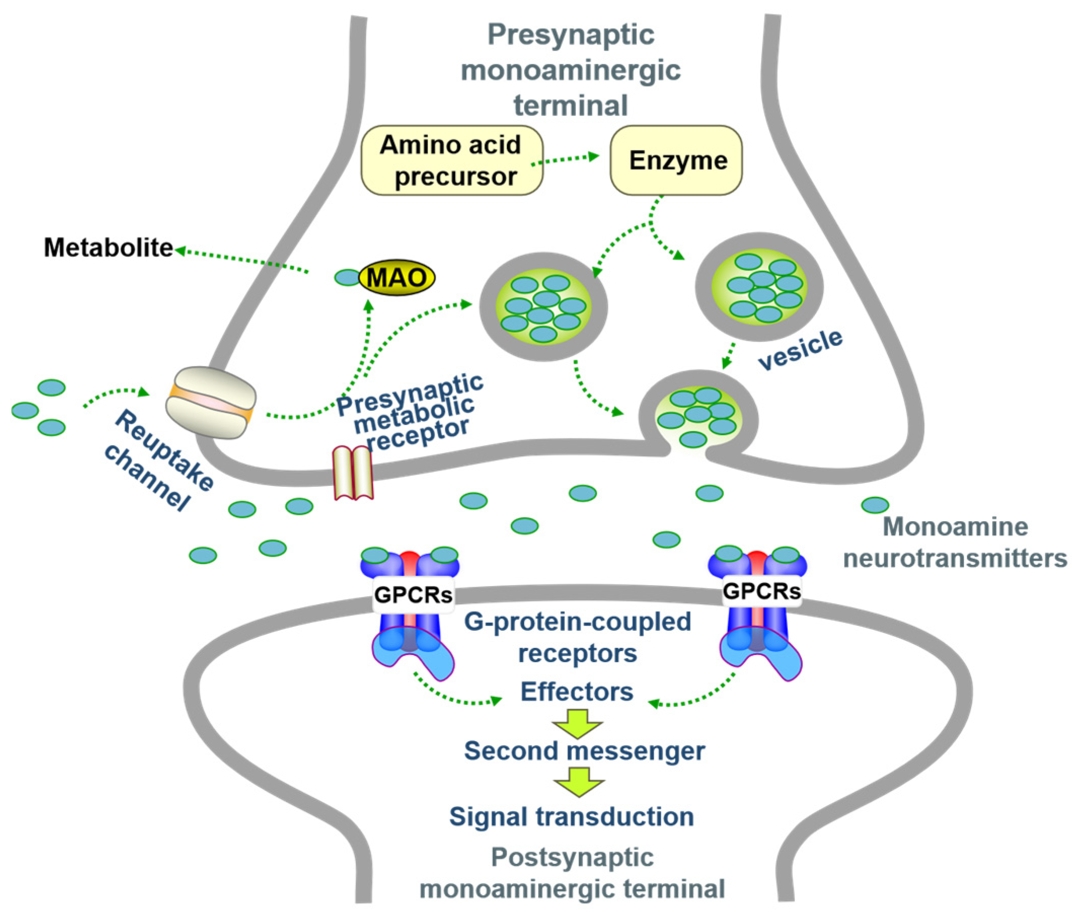 Neurolint 17 00120 g002