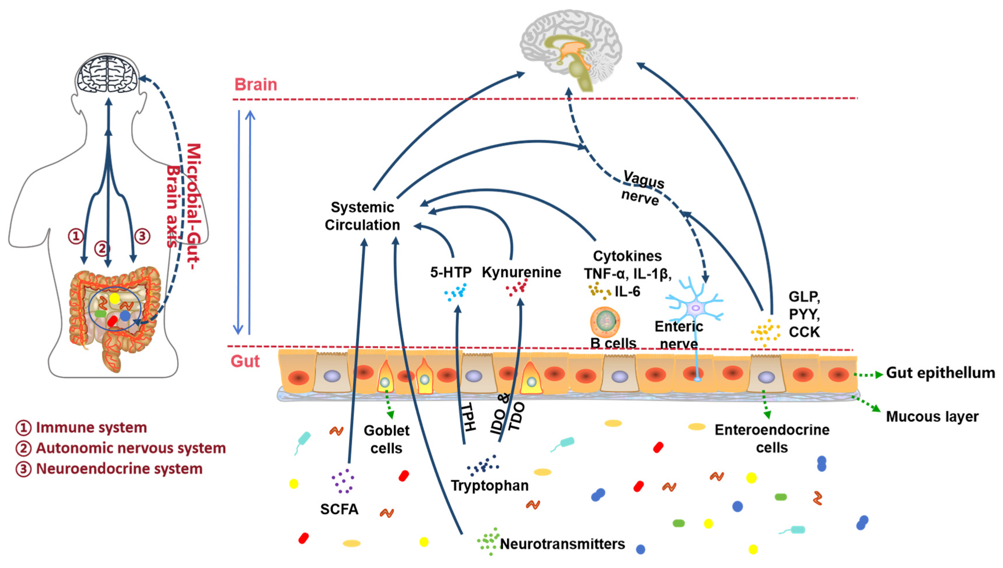 Neurolint 17 00120 g006