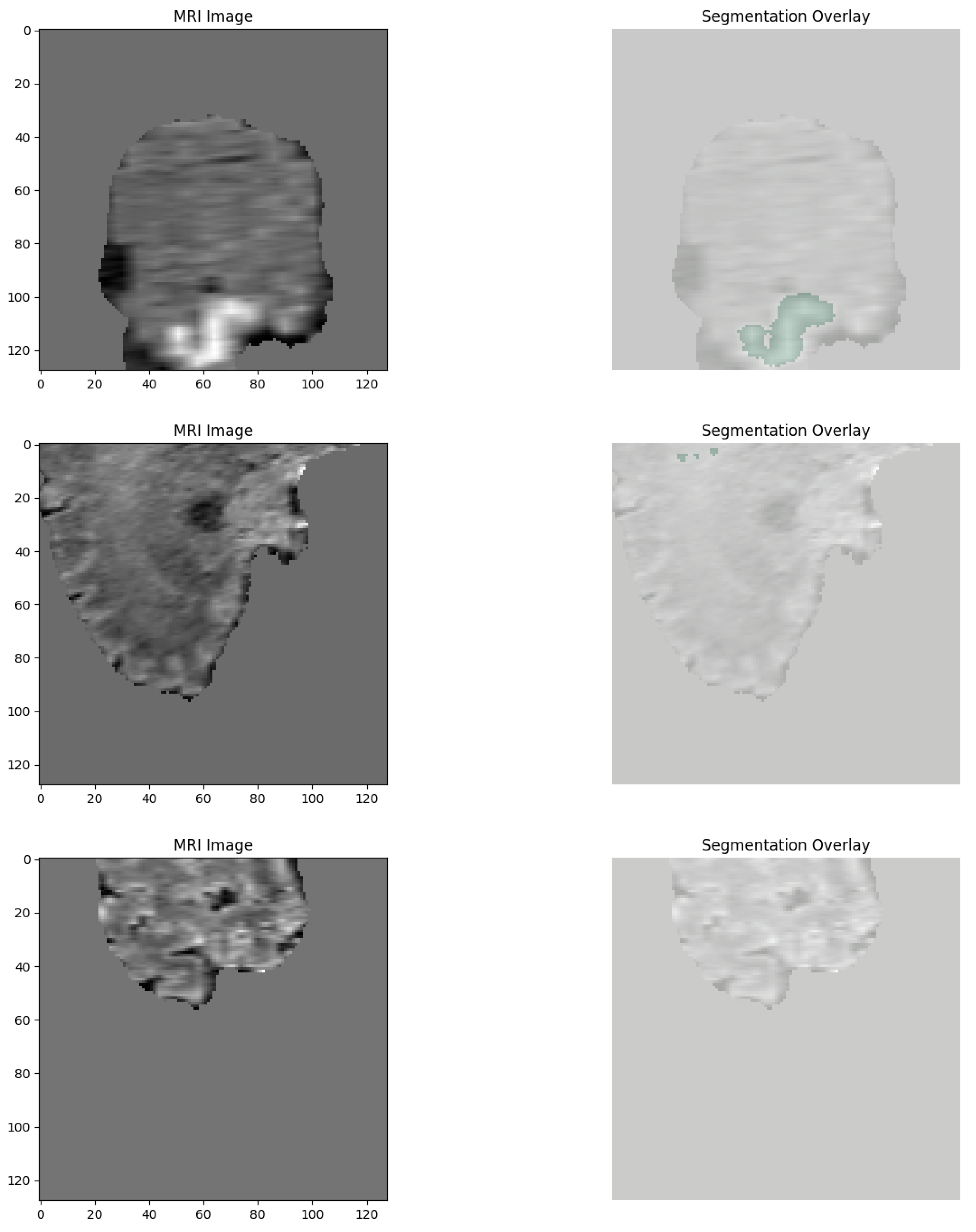 Neurolint 17 00121 g002