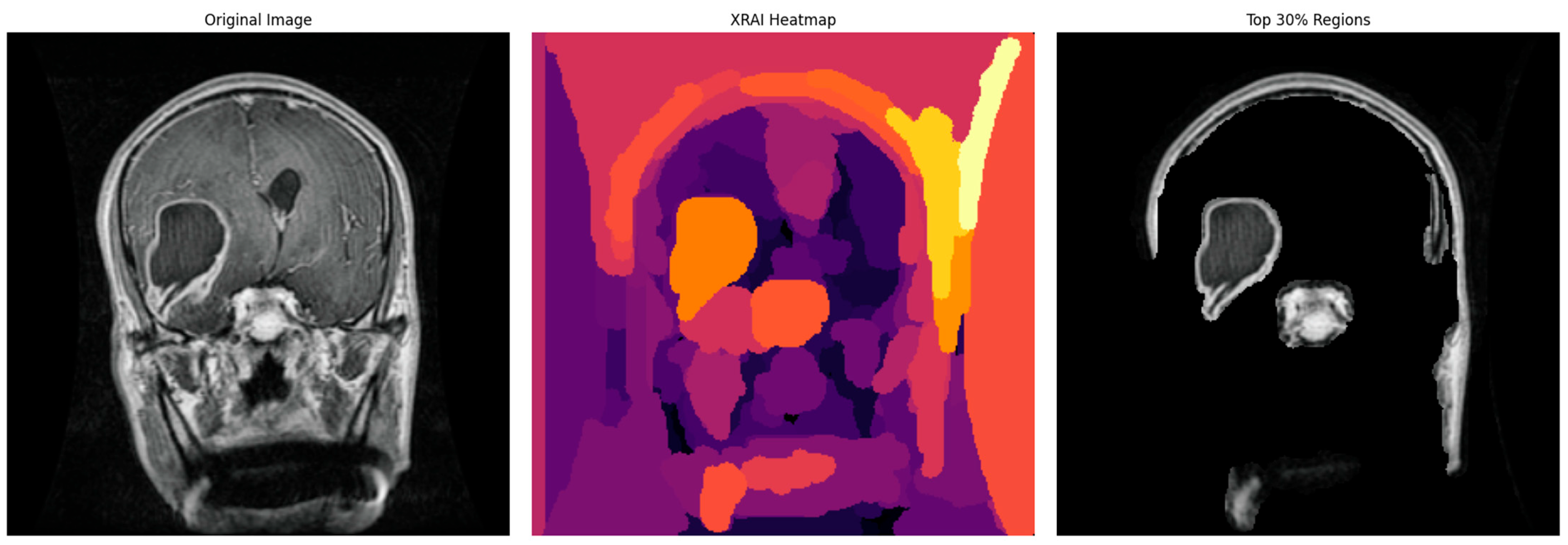 Neurolint 17 00121 g006