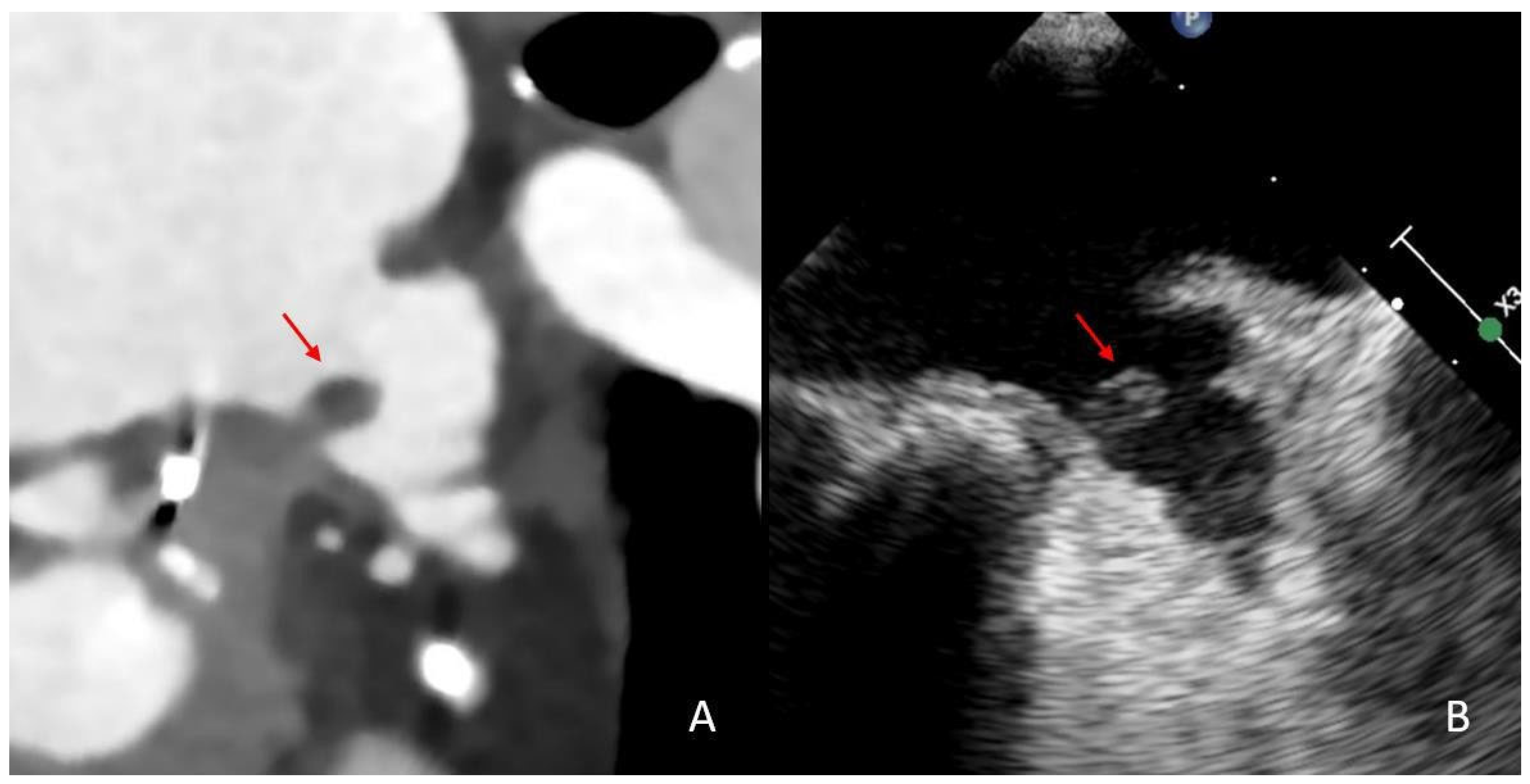 Neurolint 17 00127 g001