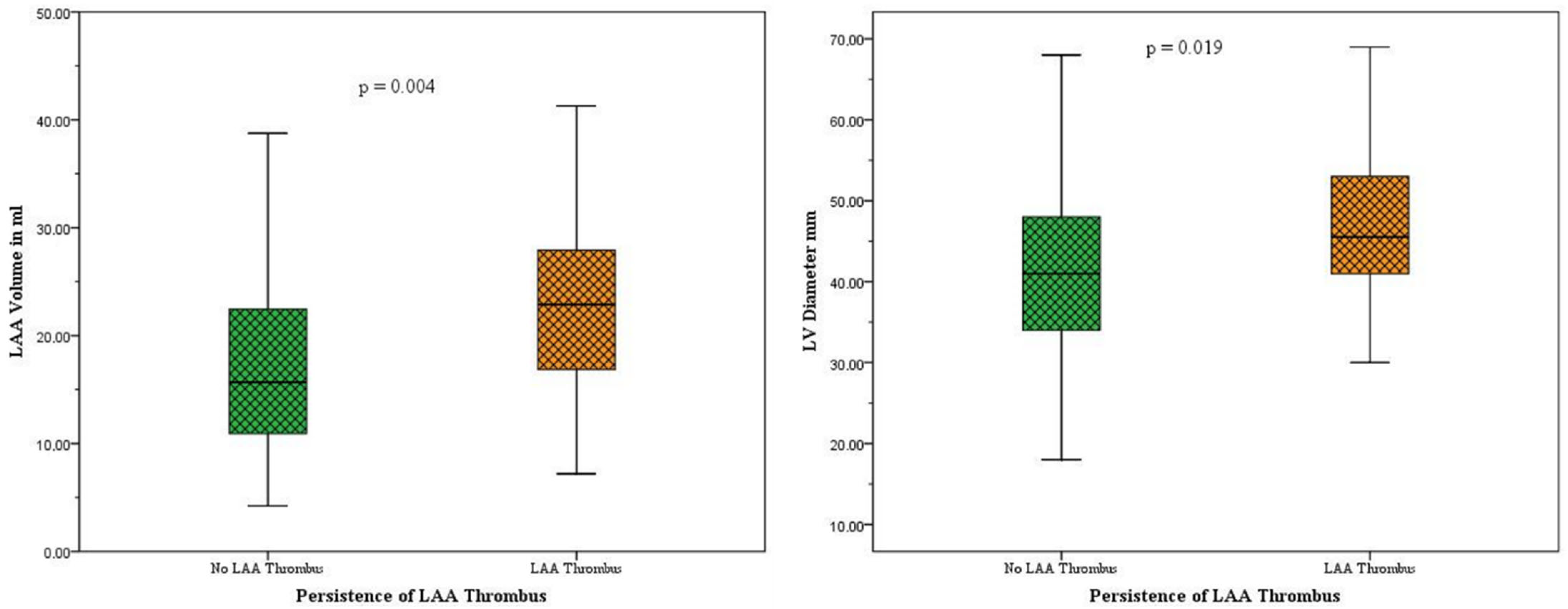 Neurolint 17 00127 g004
