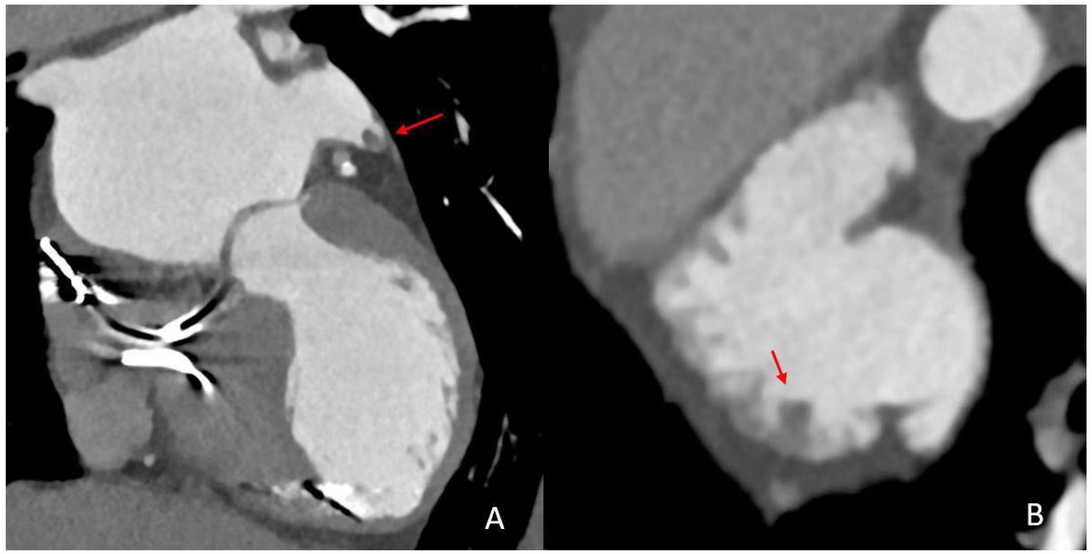 Neurolint 17 00127 g005