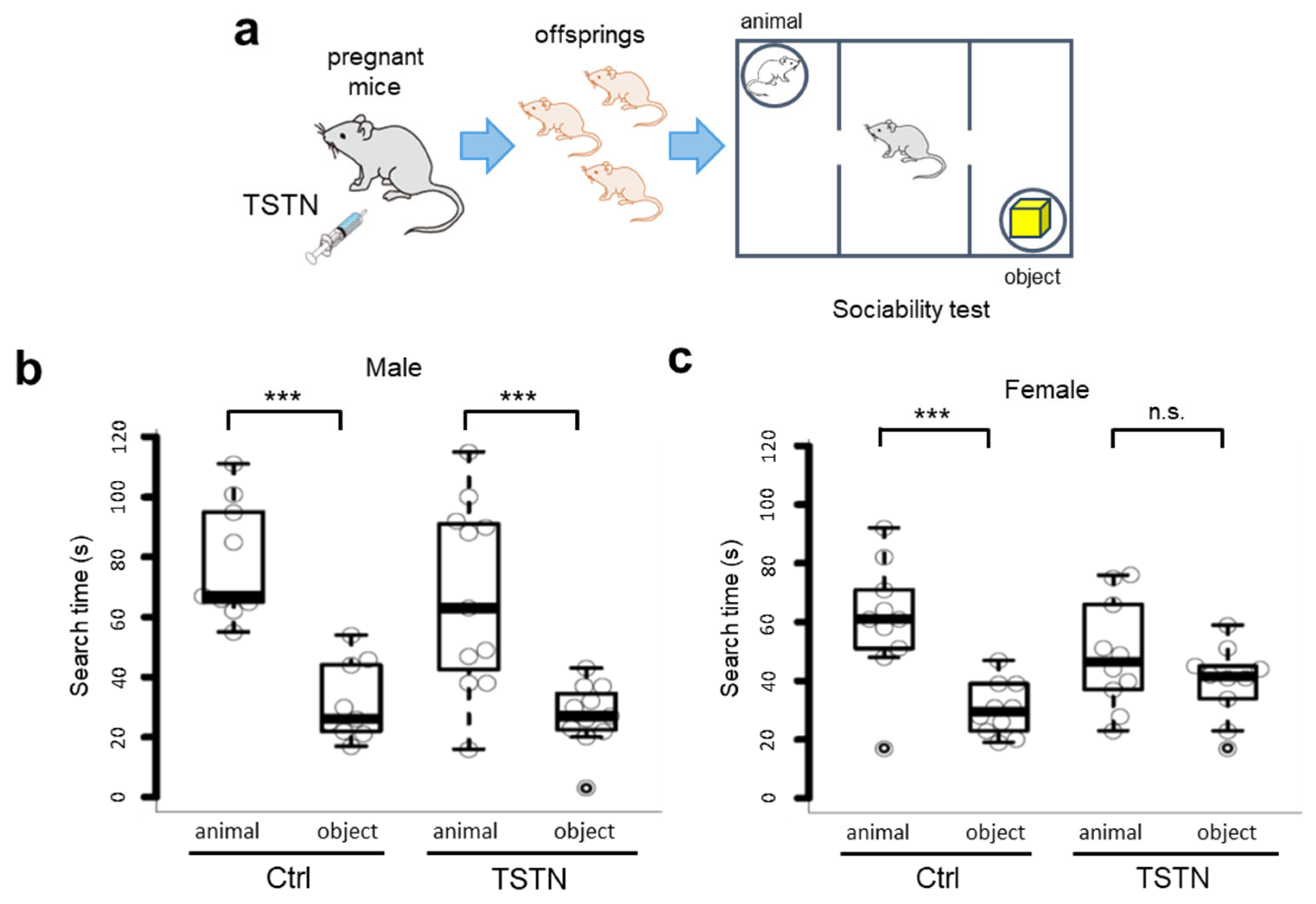 Neurolint 17 00129 g002