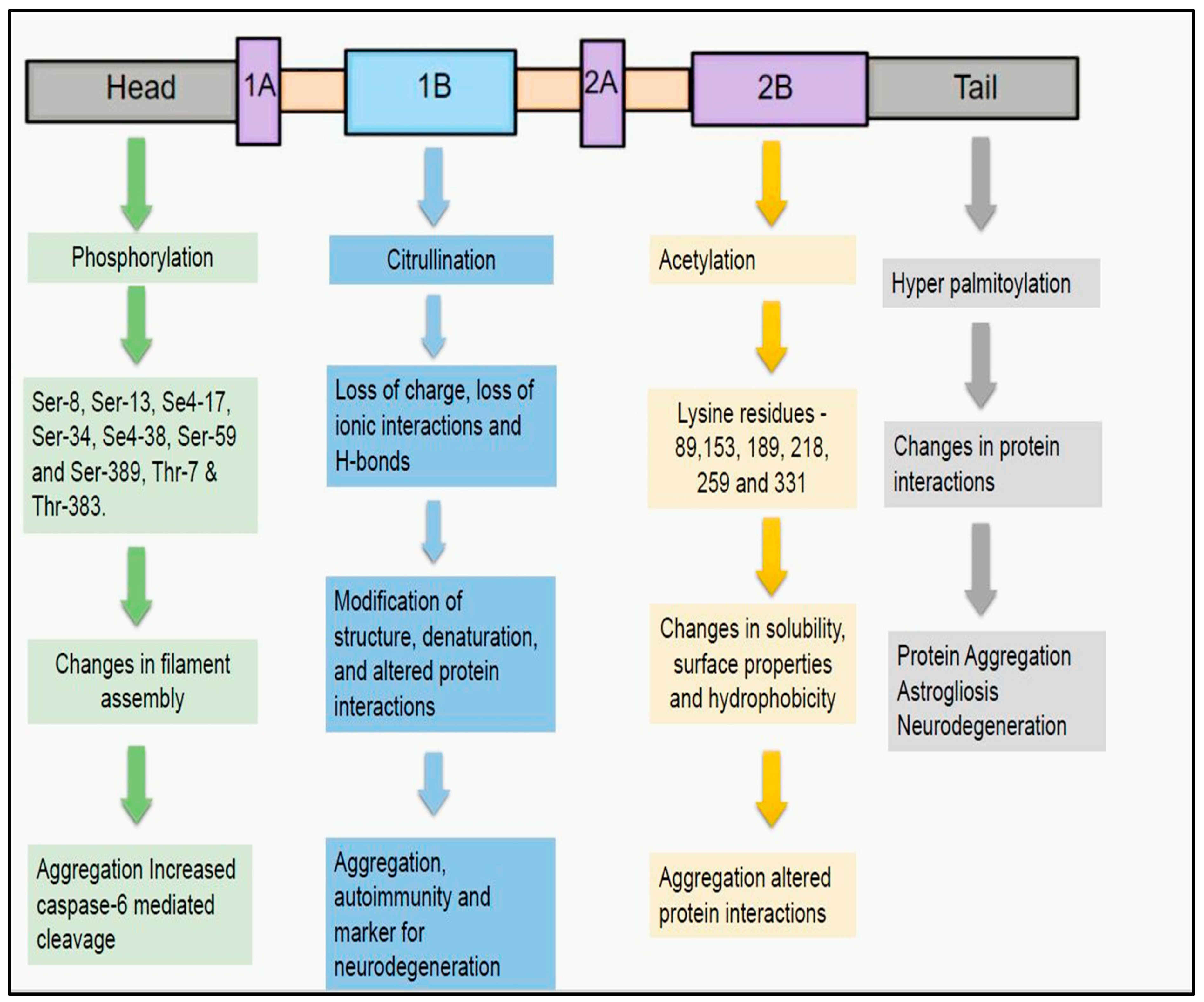 Neurolint 17 00134 g002 Neurolint 17 00134 g002