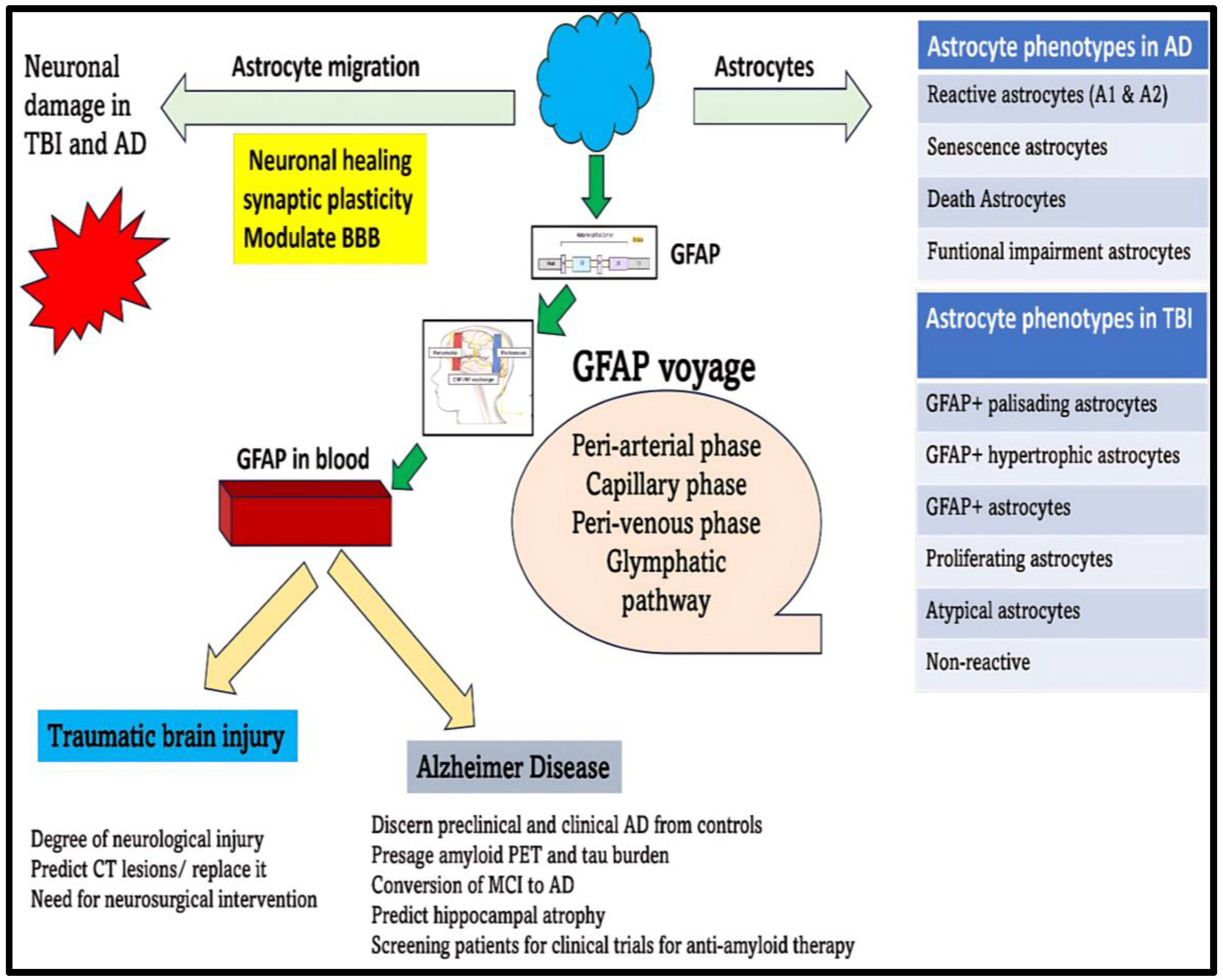 Neurolint 17 00134 g006 Neurolint 17 00134 g006
