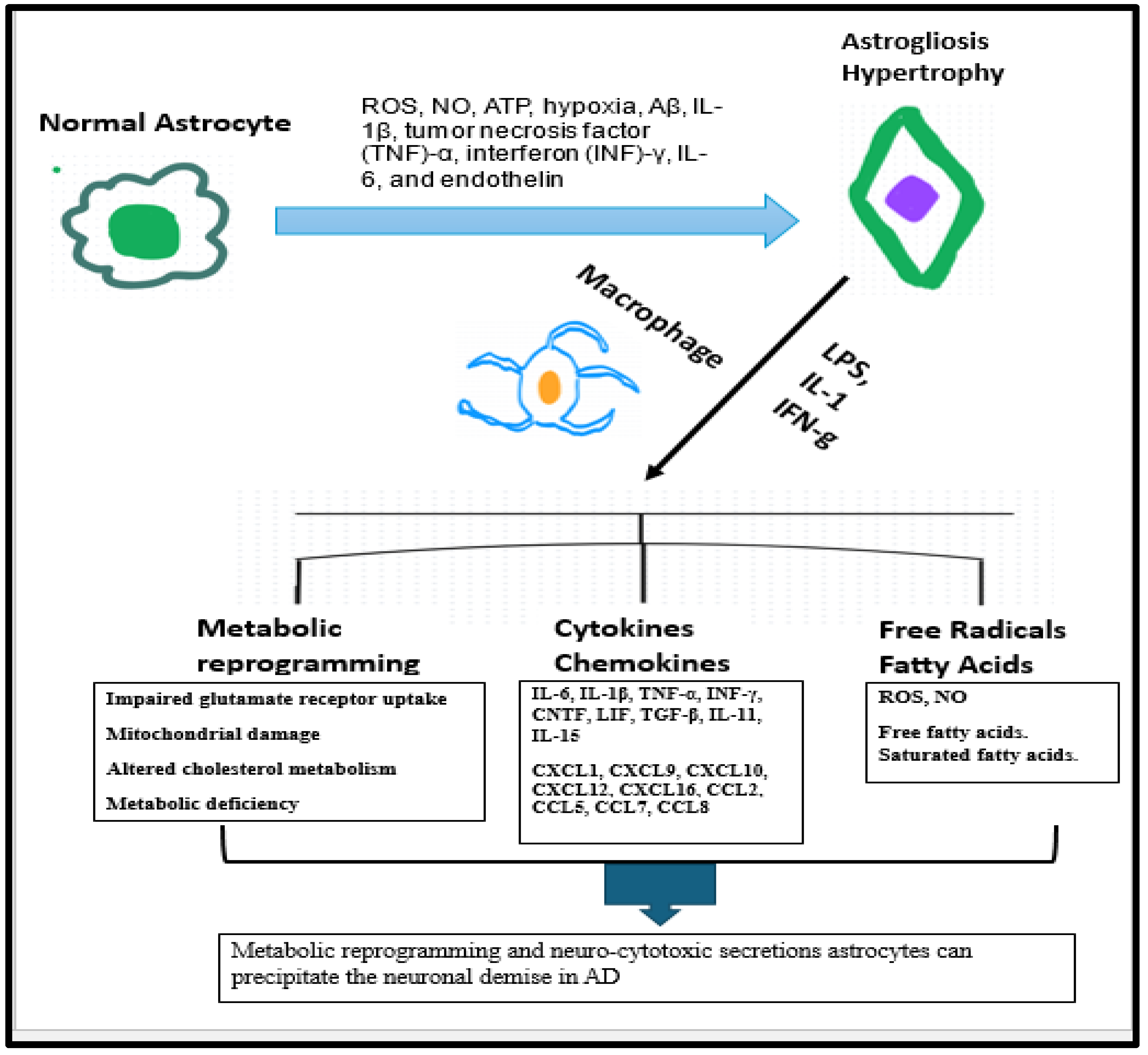 Neurolint 17 00134 g007 Neurolint 17 00134 g007