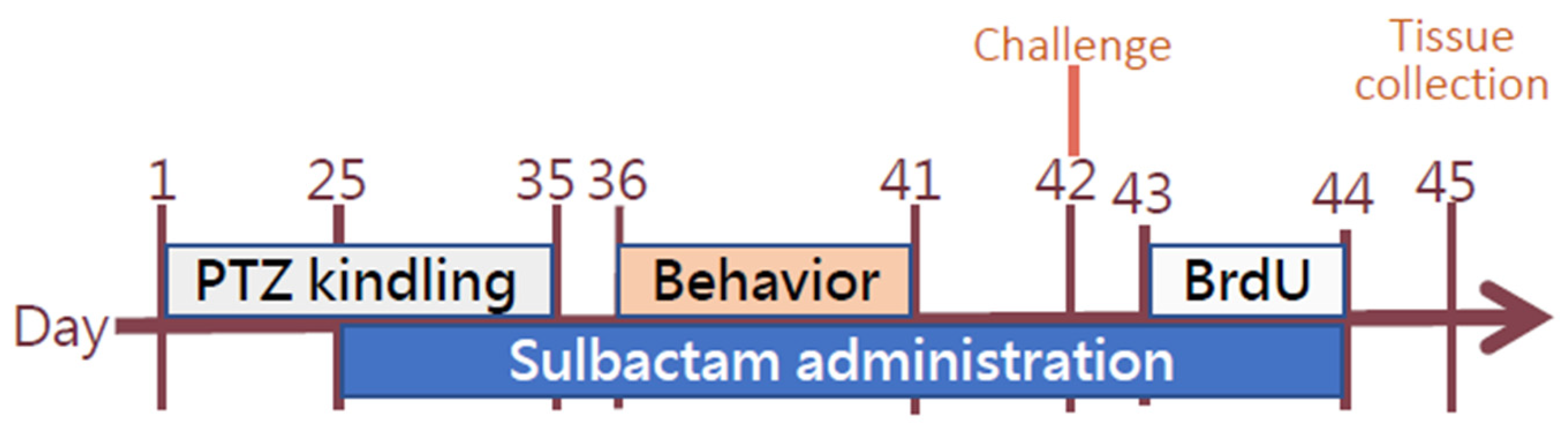 Neurolint 17 00135 g001