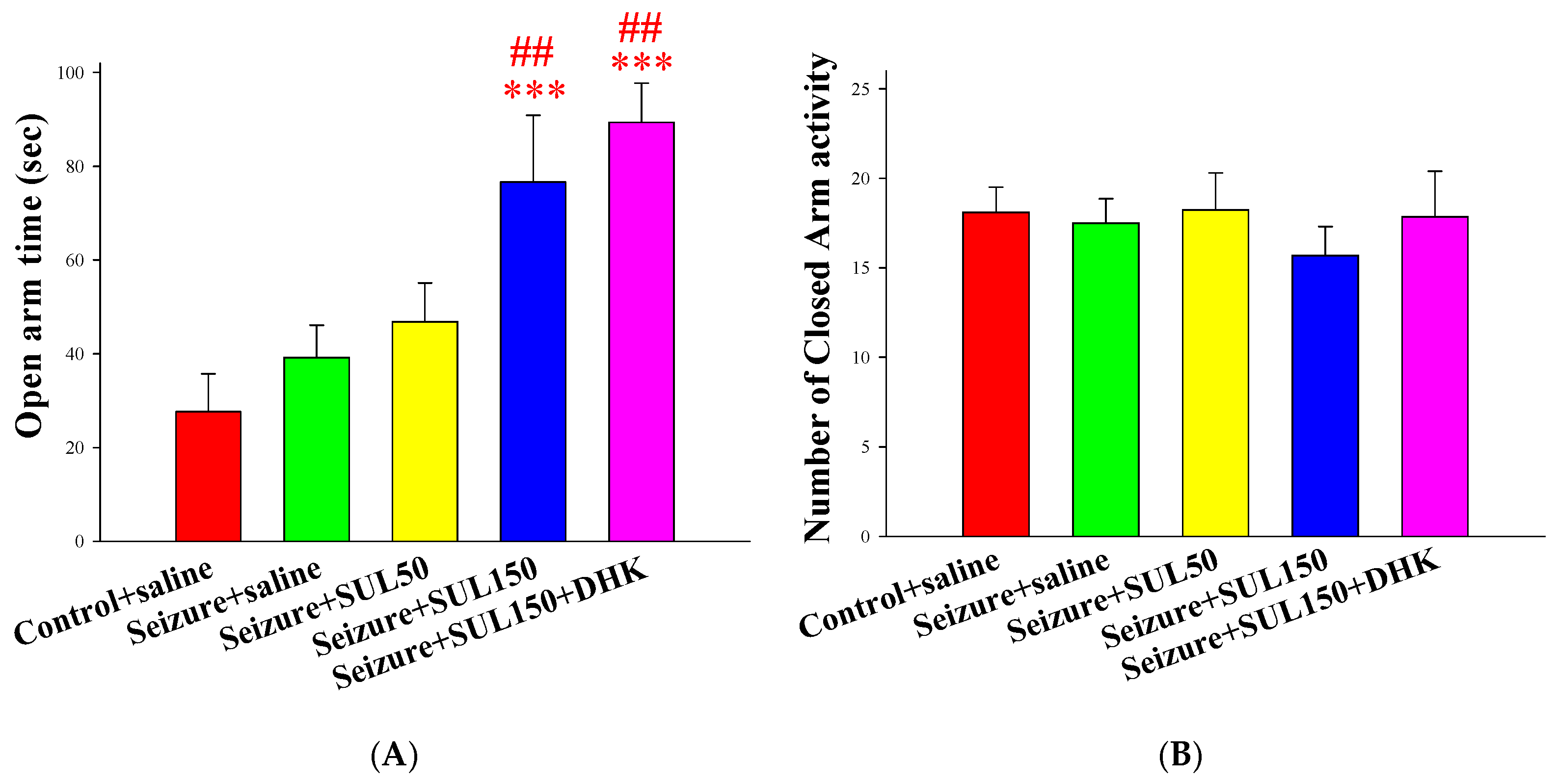 Neurolint 17 00135 g004