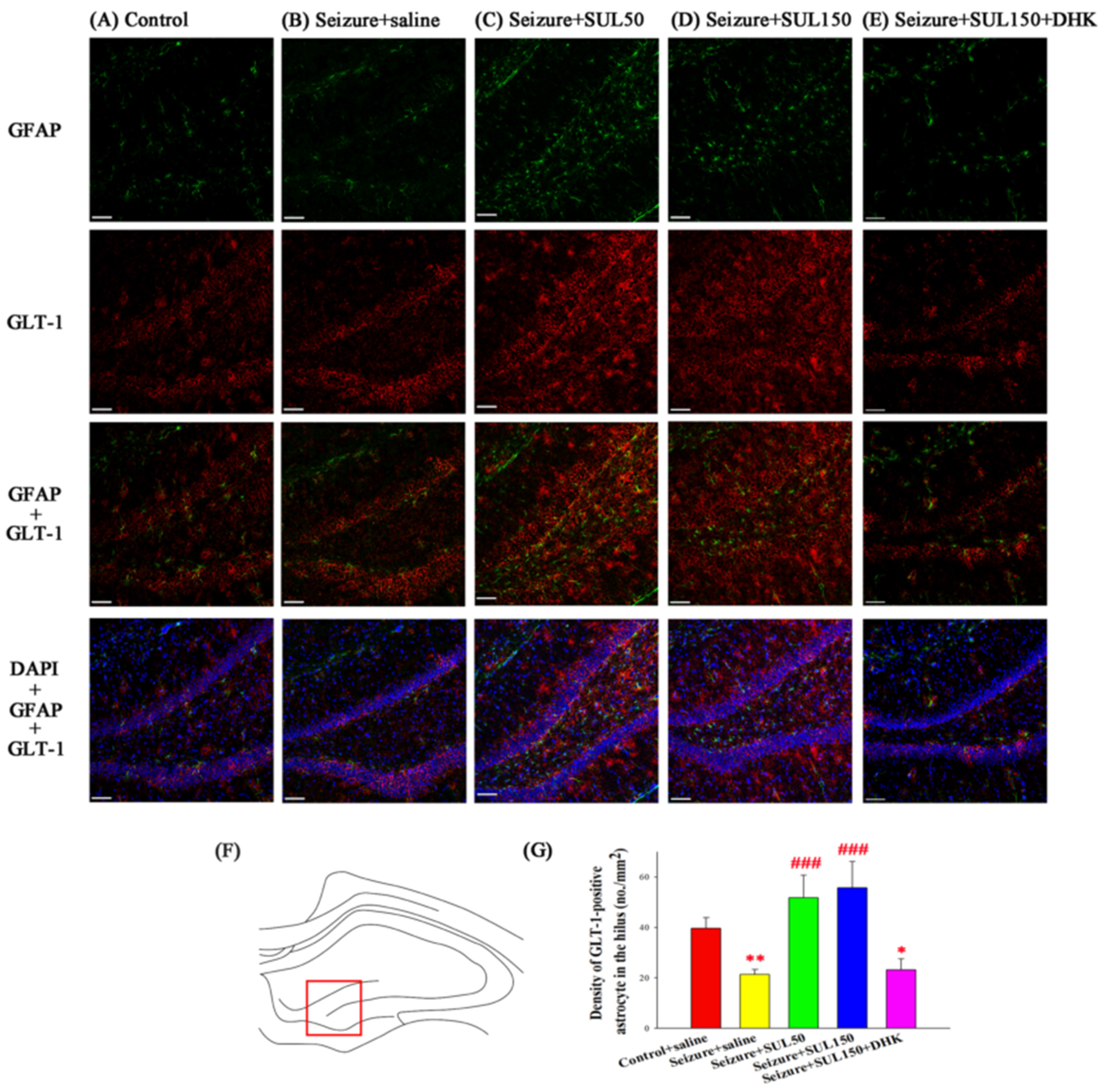 Neurolint 17 00135 g008