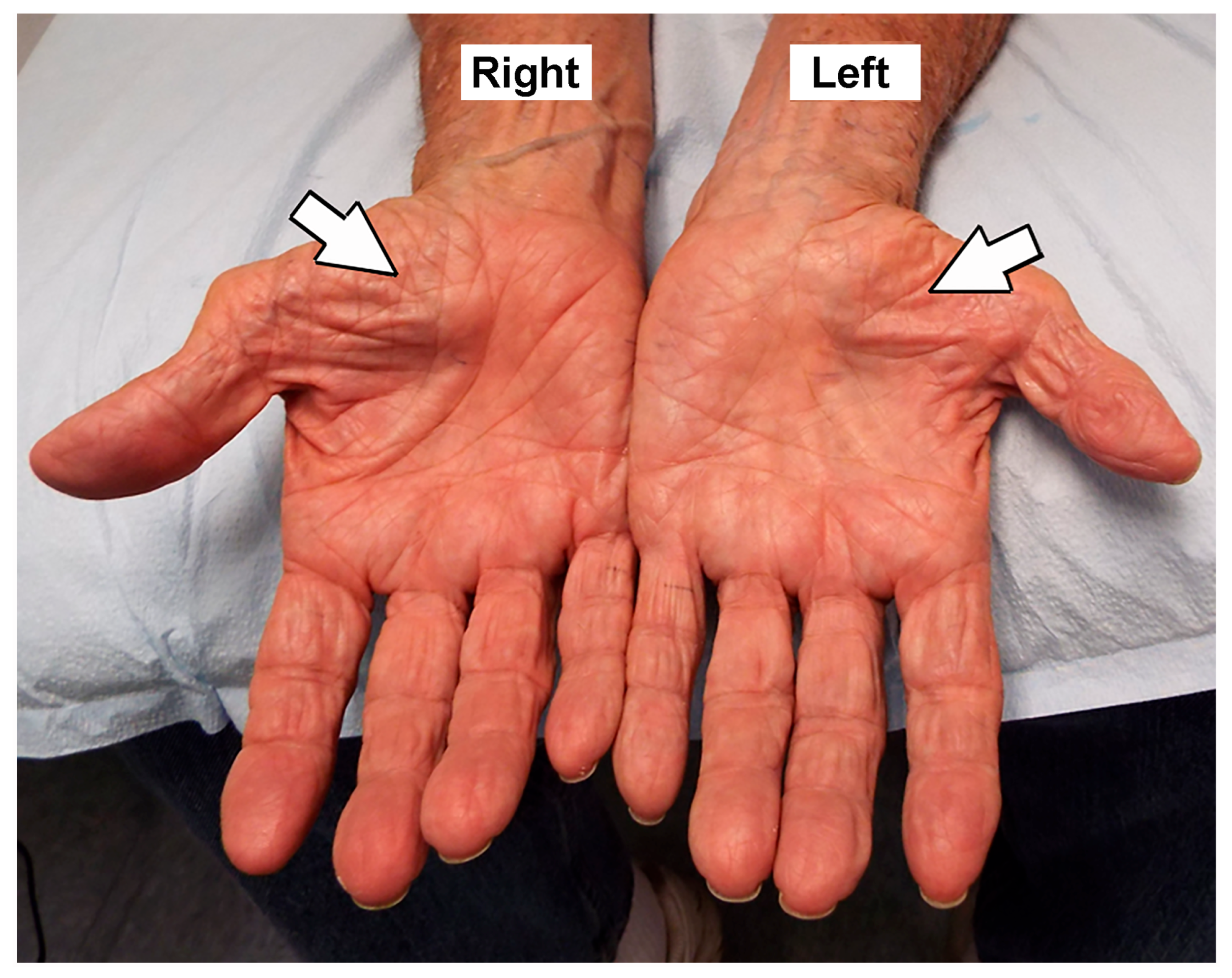 Neurolint 17 00137 g002