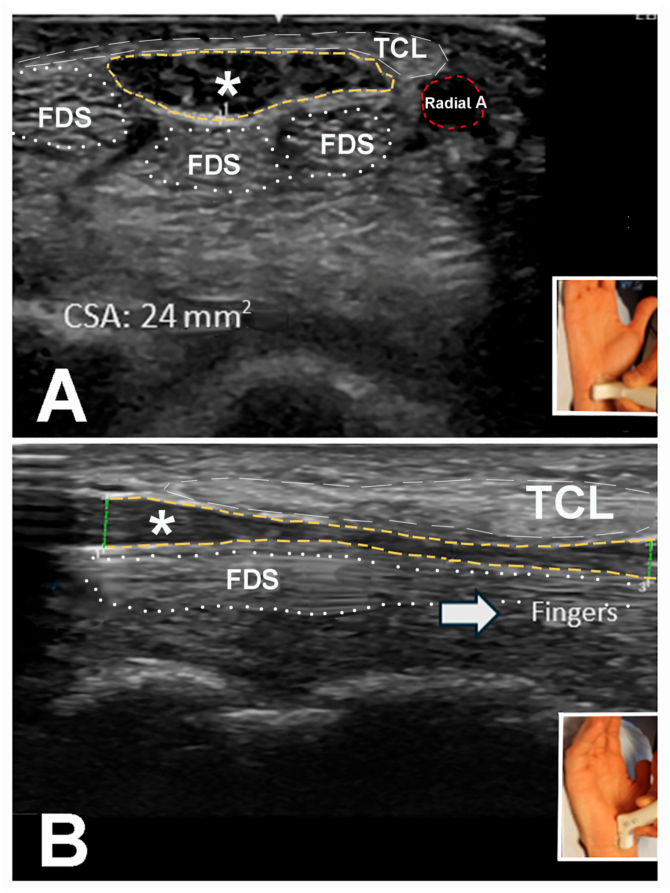Neurolint 17 00137 g003