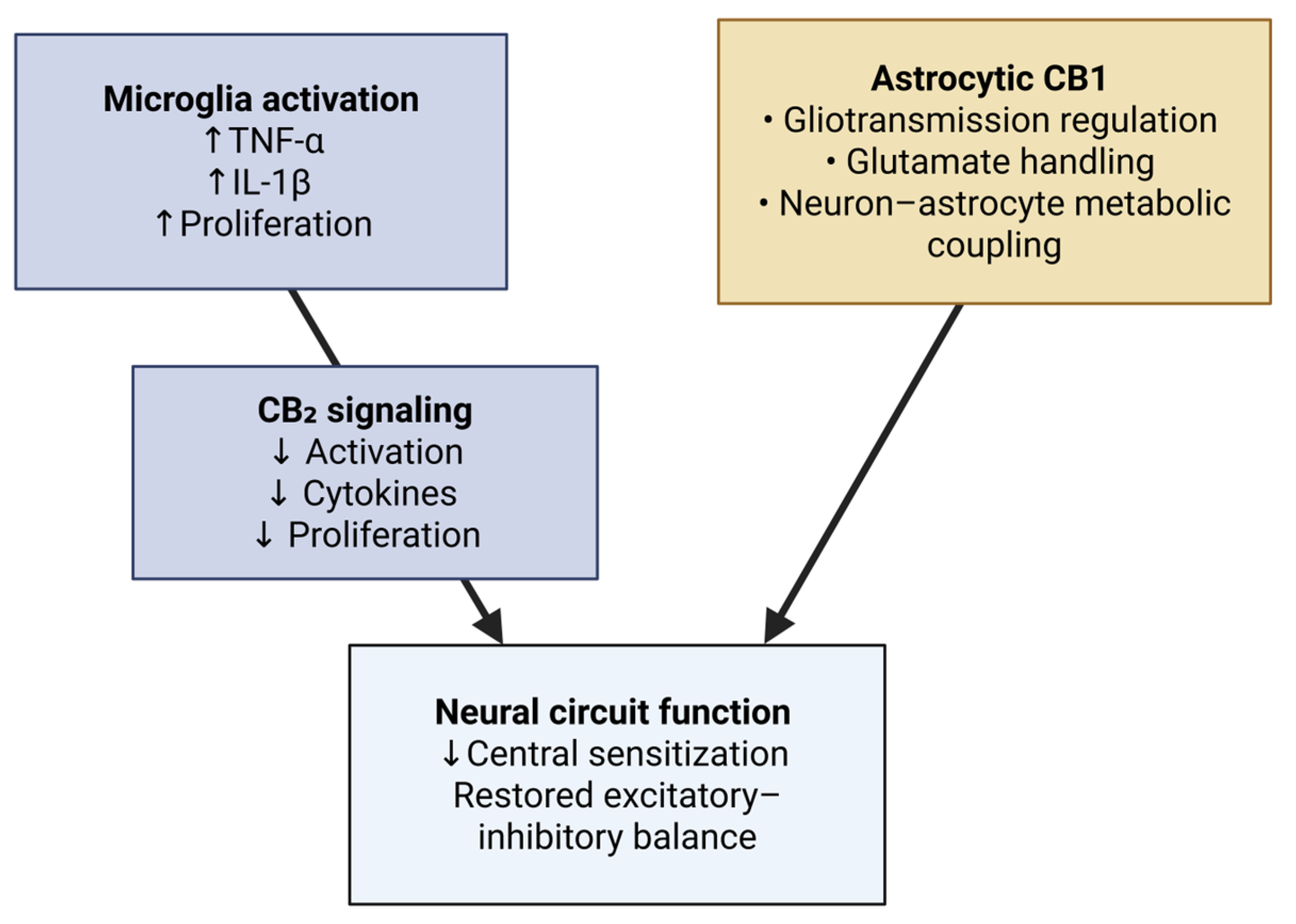 Neurolint 17 00141 g005 Neurolint 17 00141 g005
