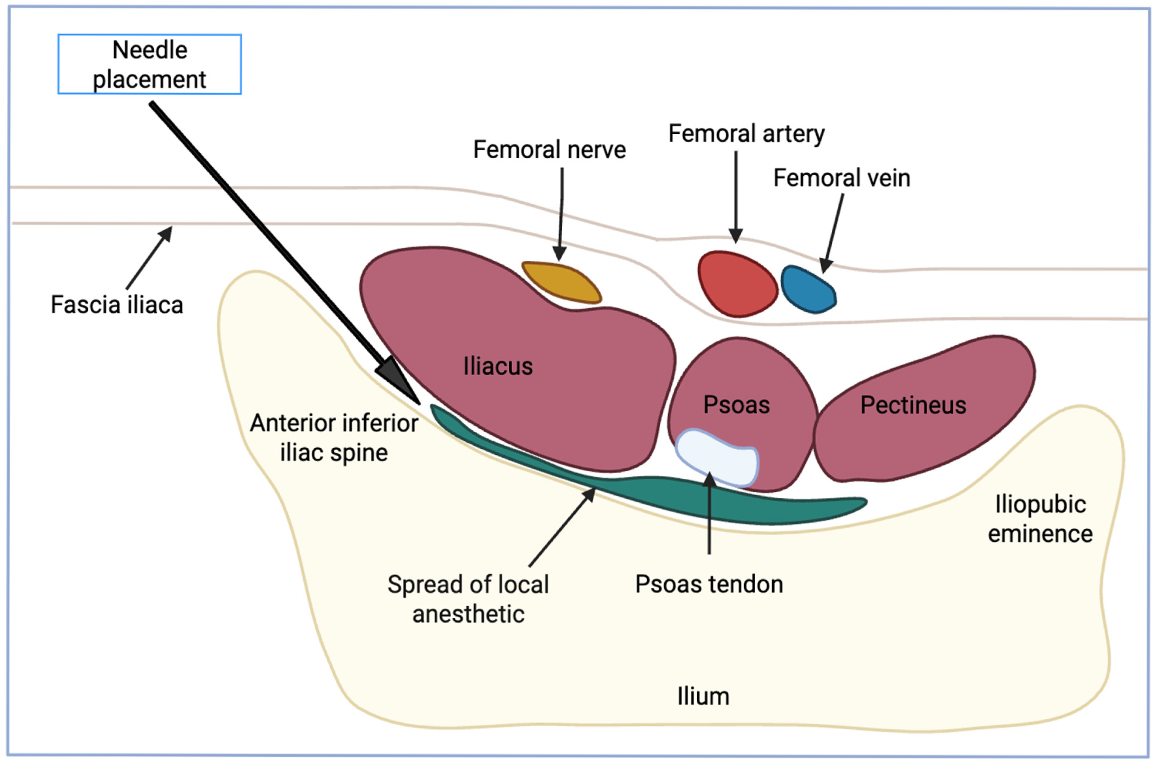 Neurolint 17 00142 g001