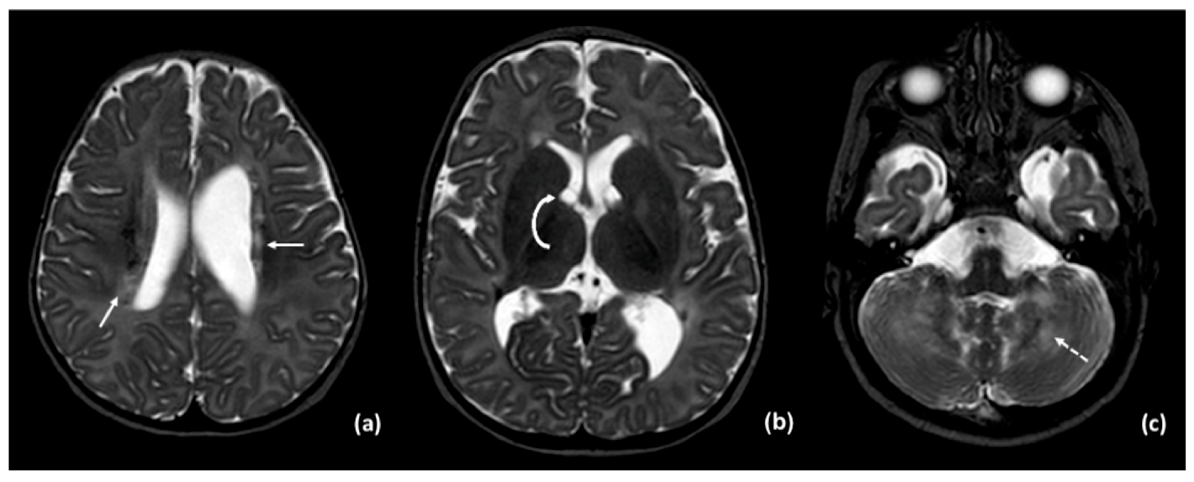 Neurolint 17 00143 g001