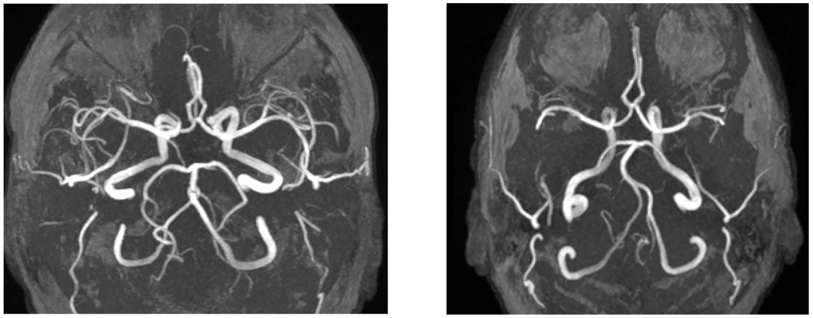 Neurolint 17 00146 g004