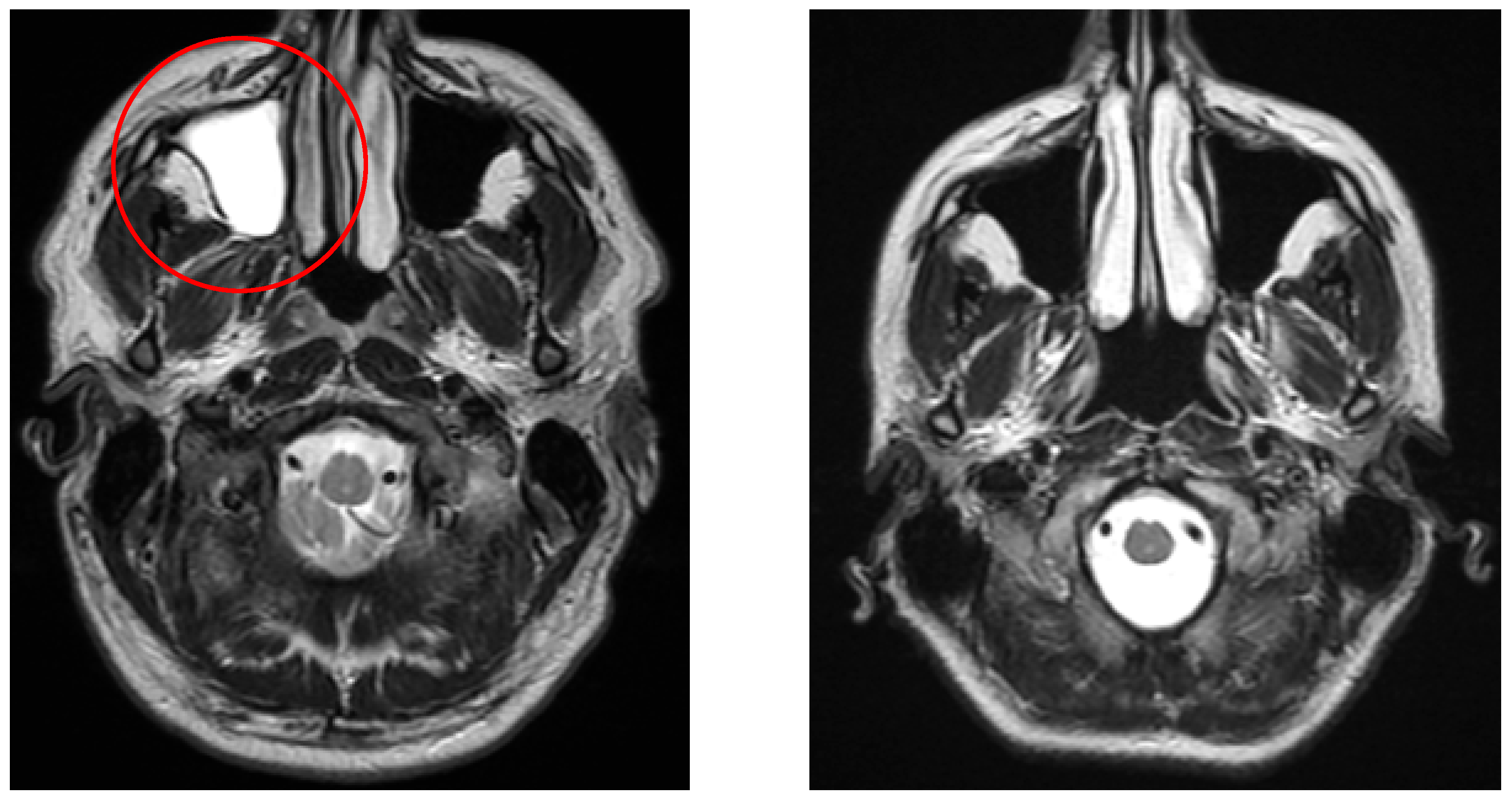 Neurolint 17 00146 g005