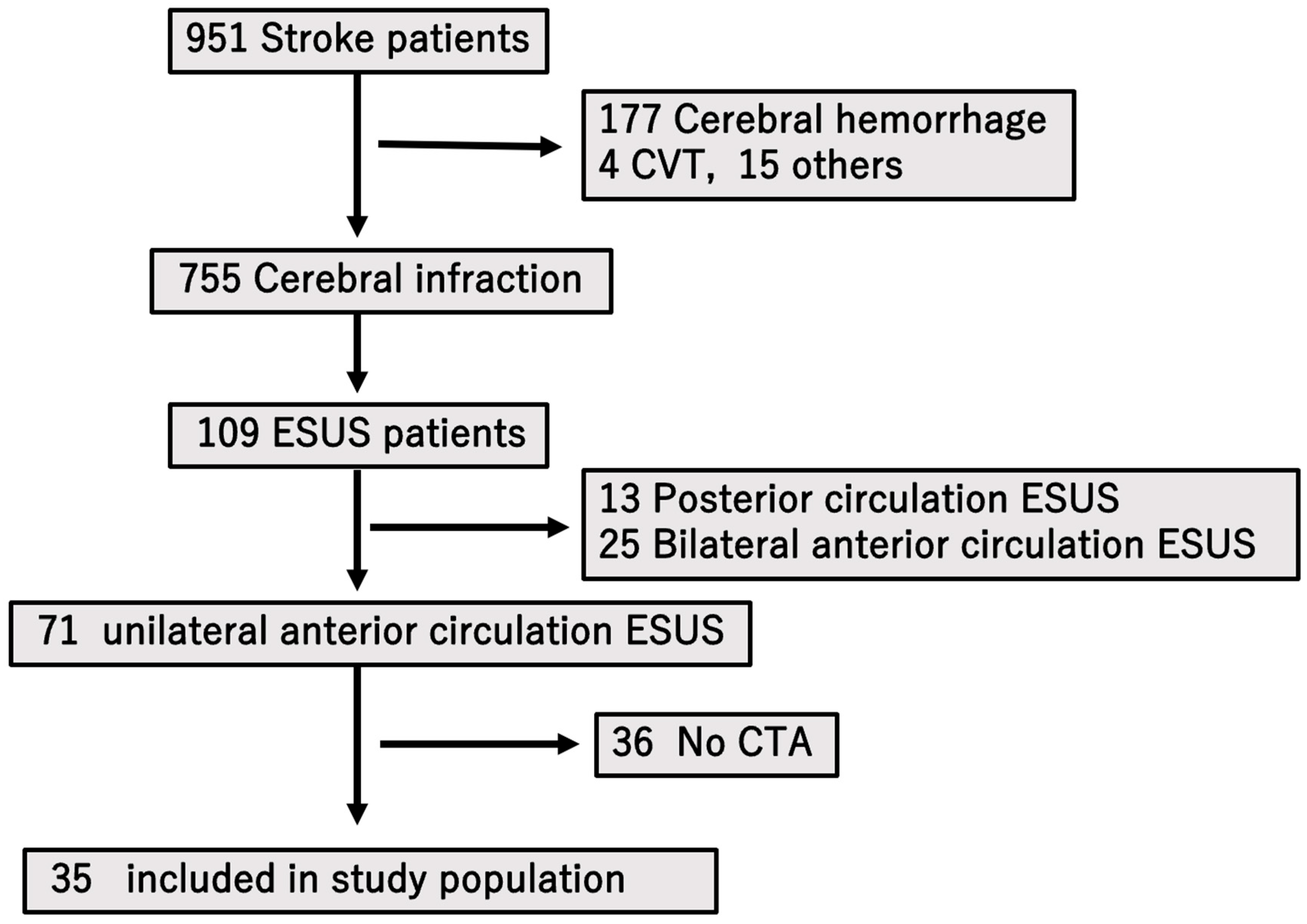 Neurolint 17 00148 g002