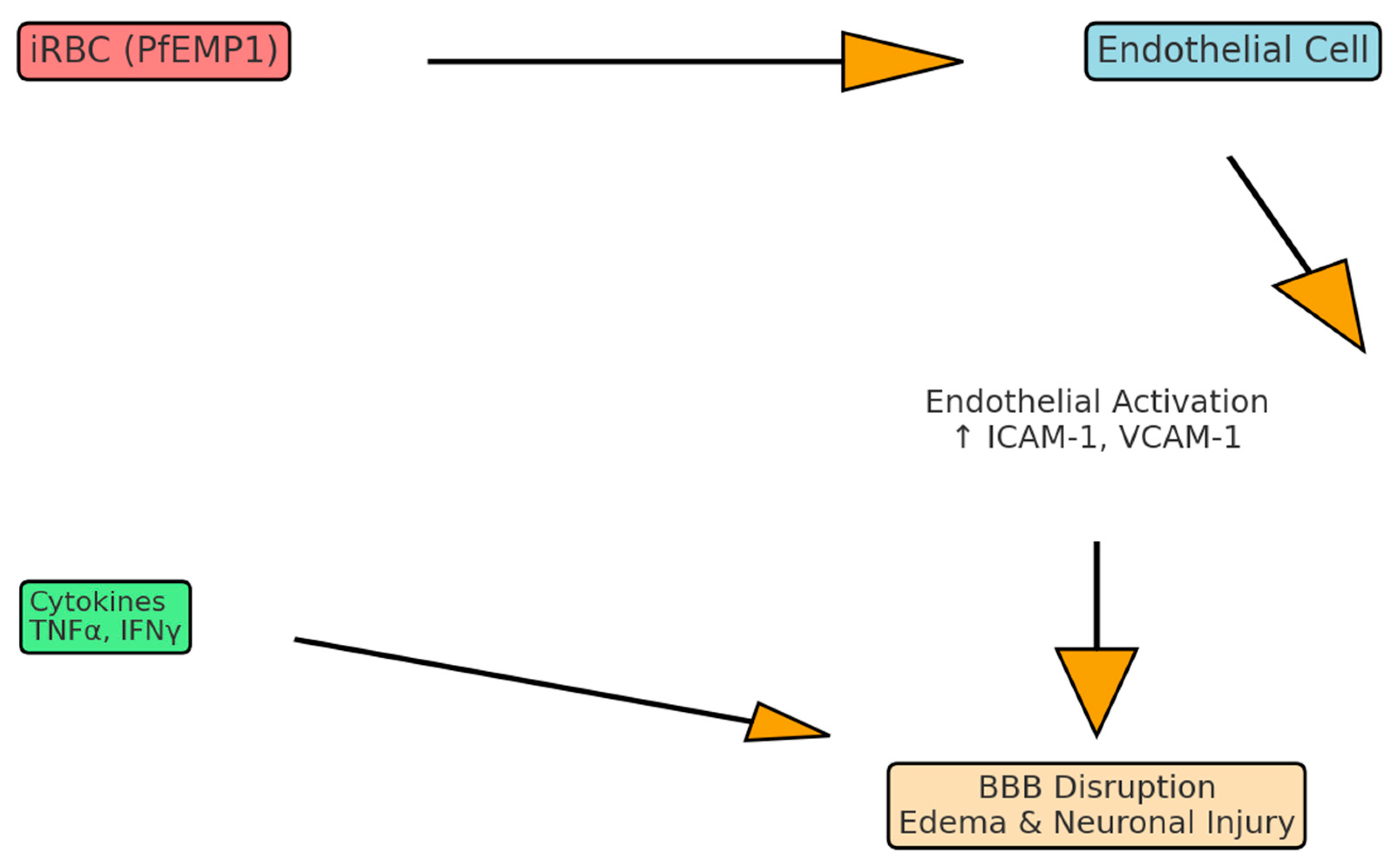 Neurolint 17 00149 g001