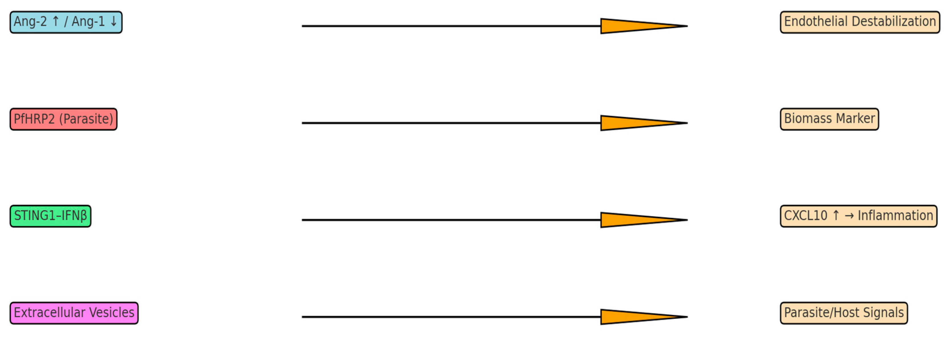 Neurolint 17 00149 g002