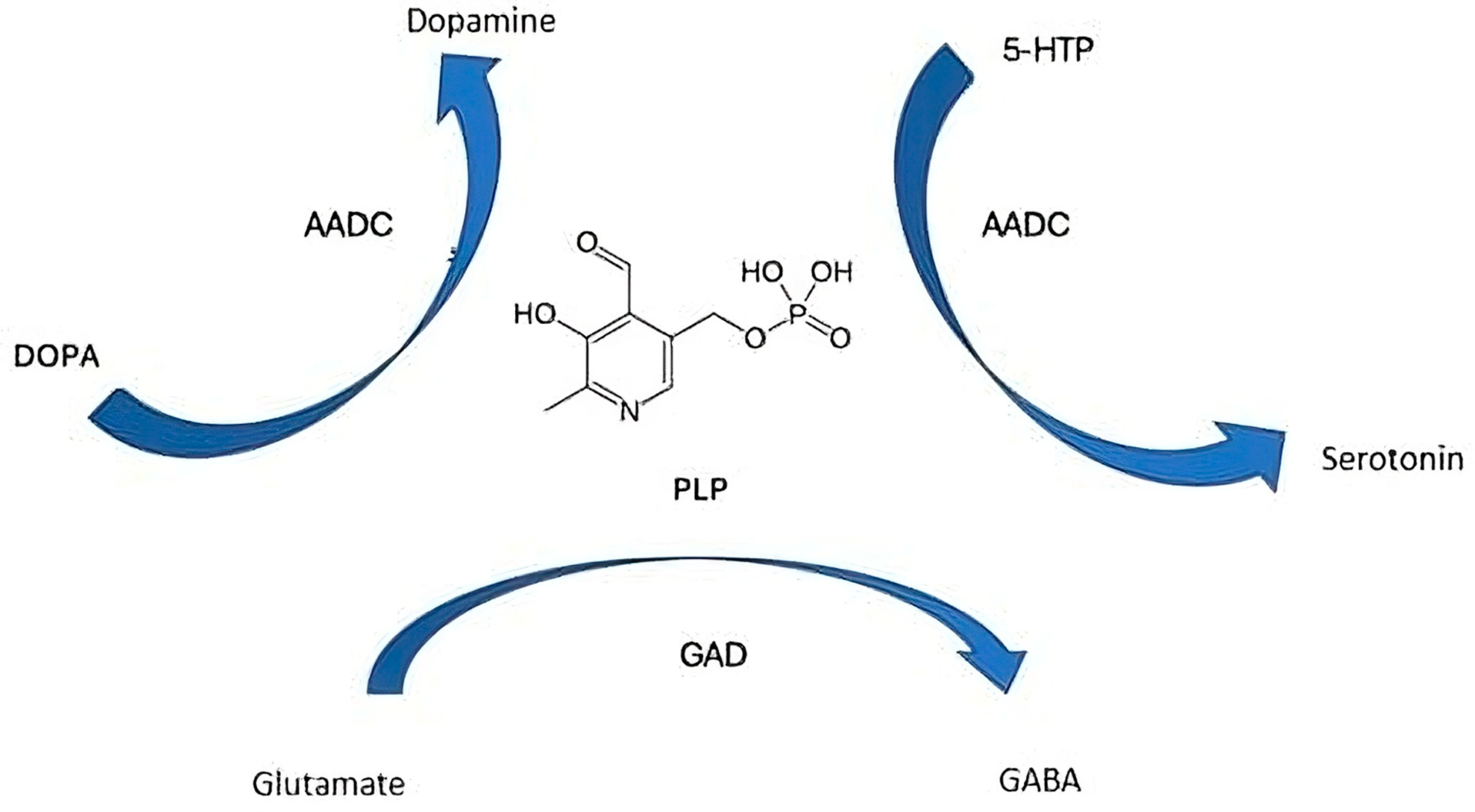 Neurolint 17 00157 g002