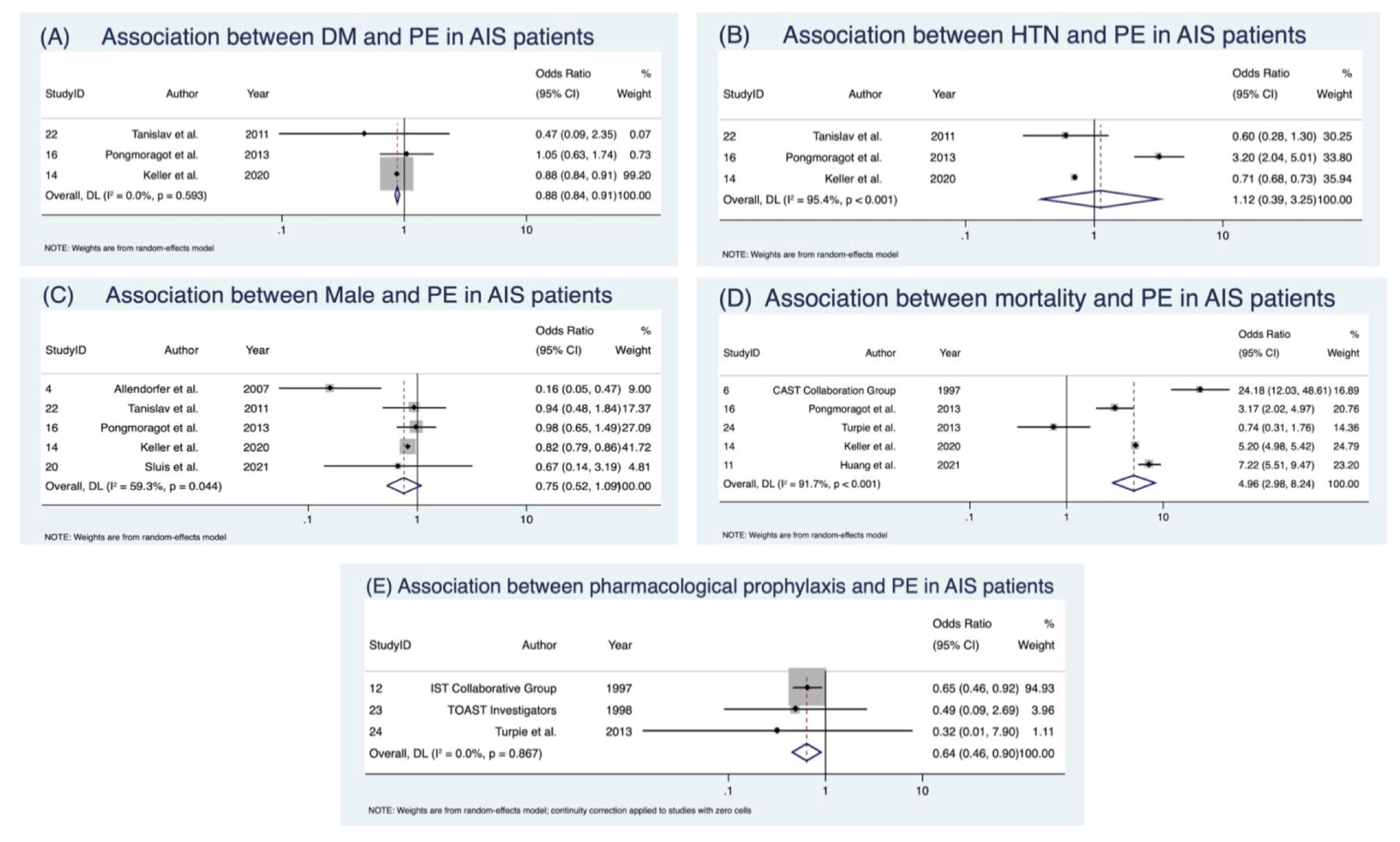 Neurolint 17 00168 g004