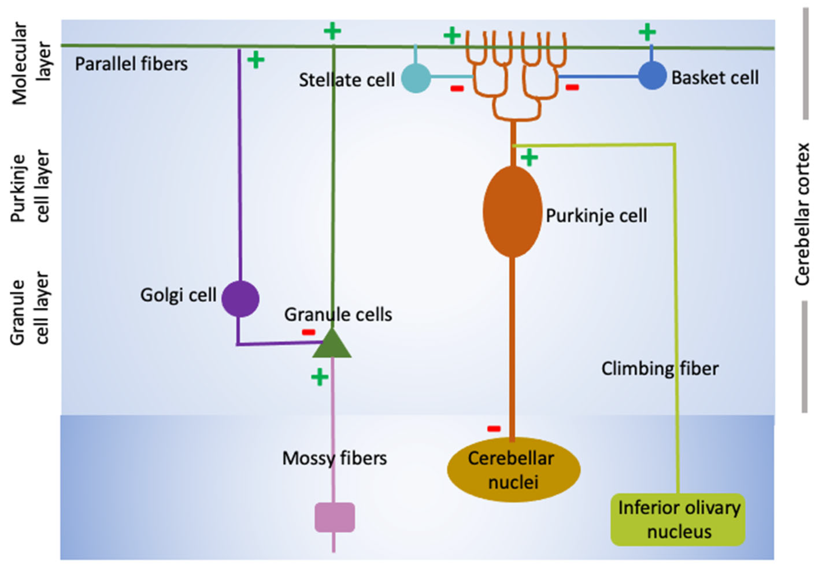 プレステ4 PS4 プレステ4 プレイステーション4 本体 500GB 選べる カラー