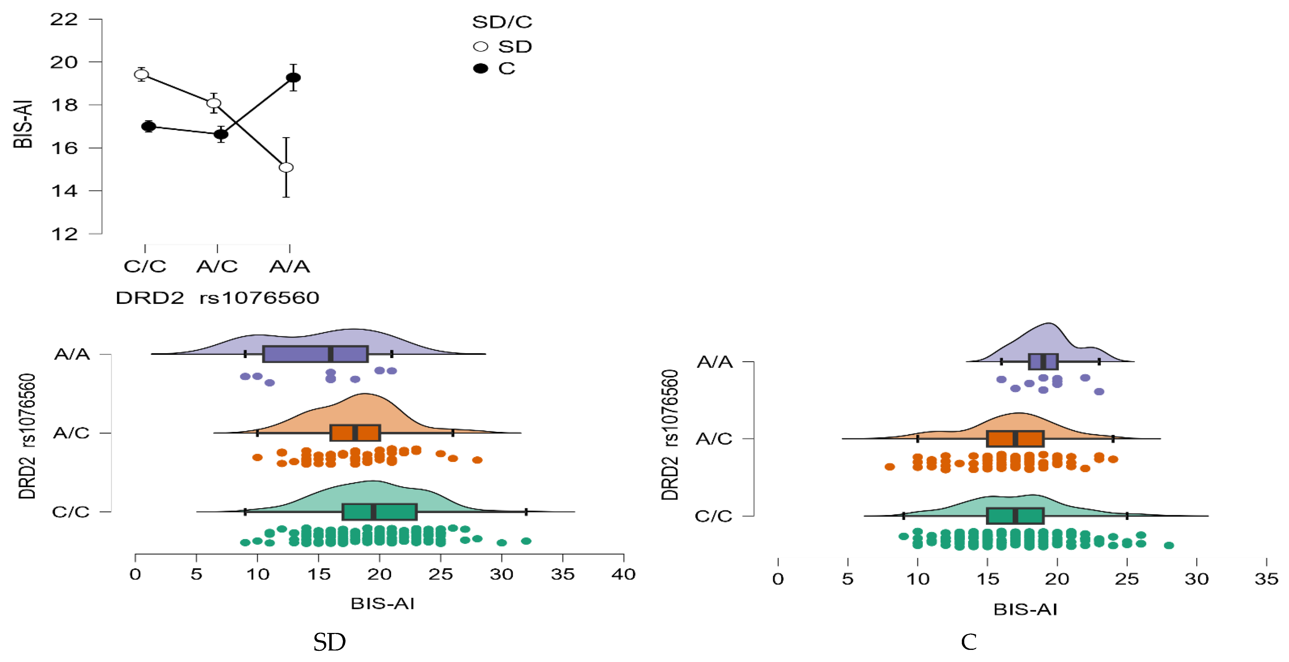 Neurolint 17 00182 g004