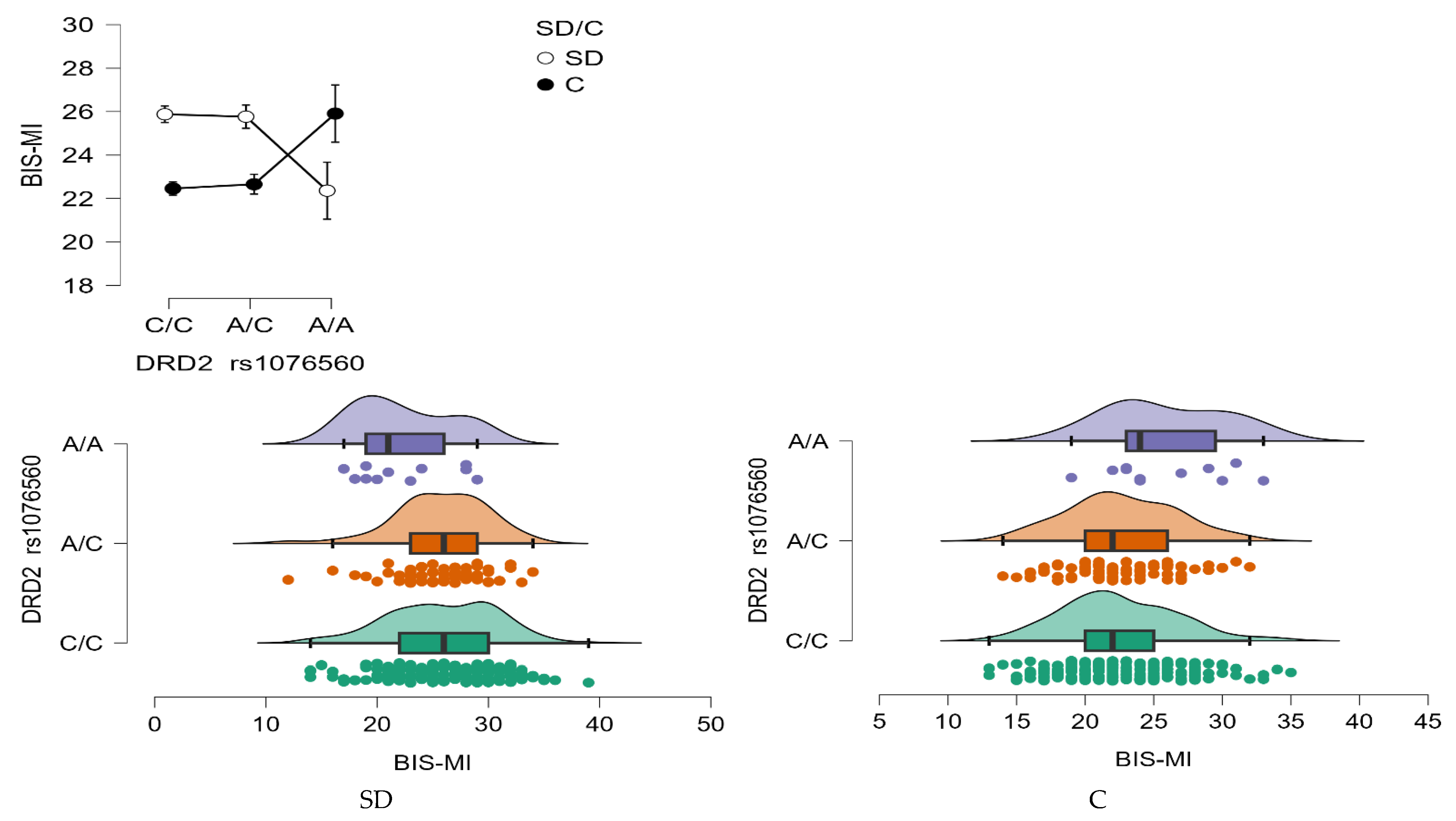Neurolint 17 00182 g005