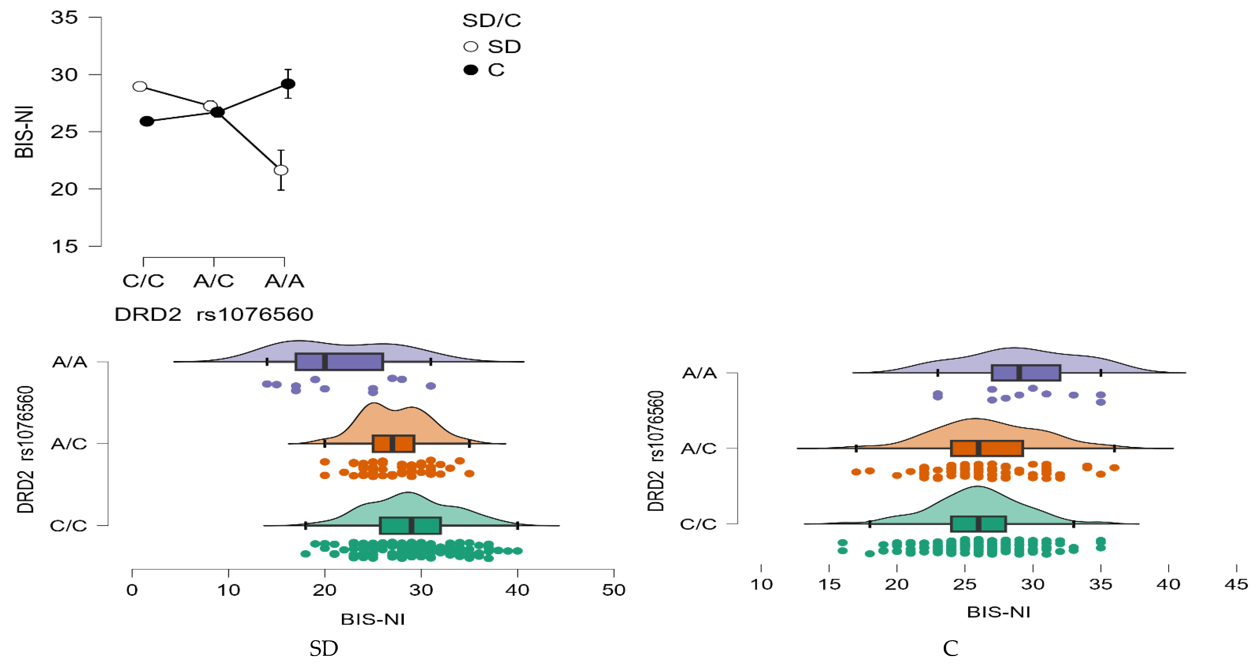 Neurolint 17 00182 g006
