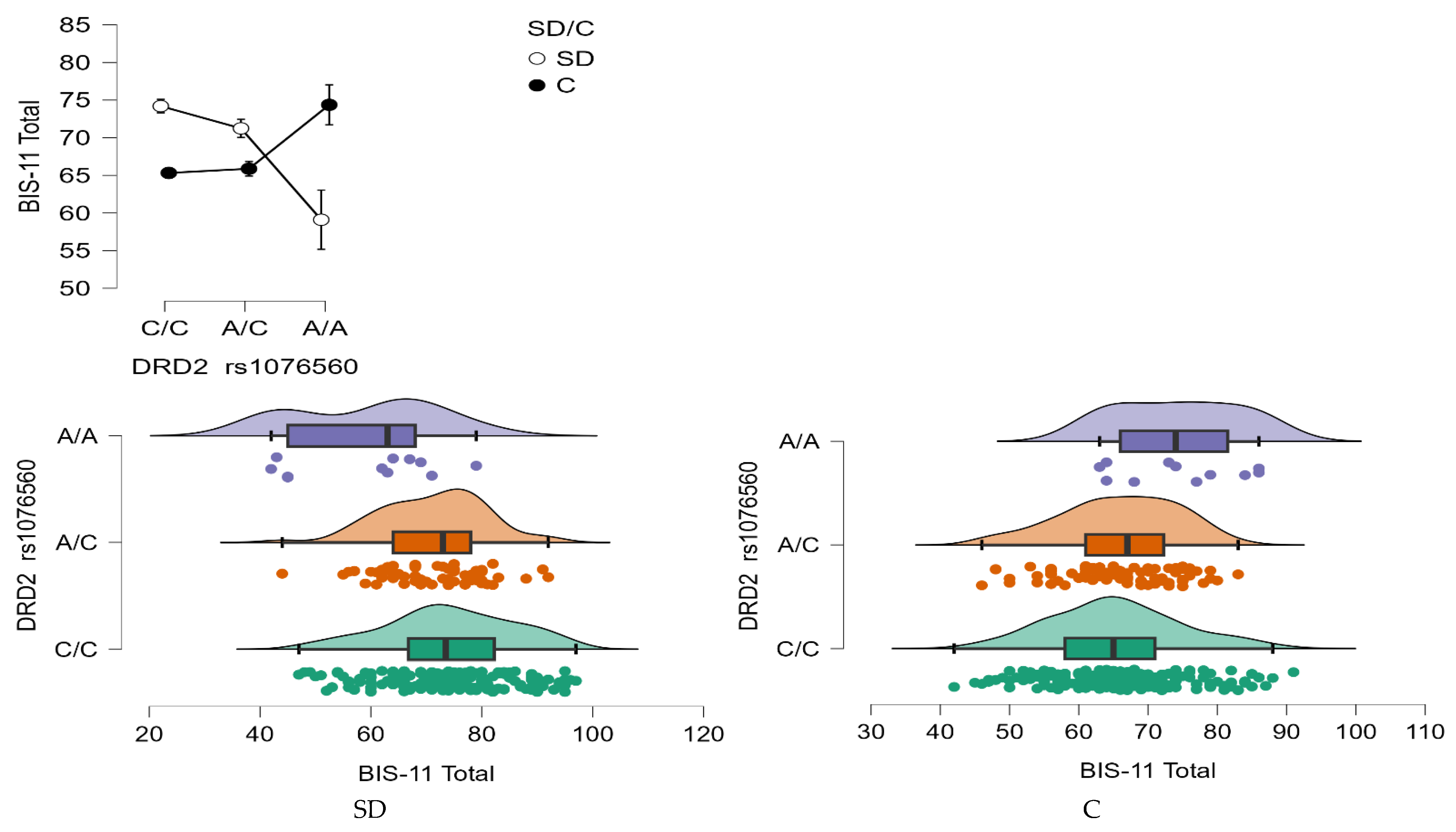 Neurolint 17 00182 g007