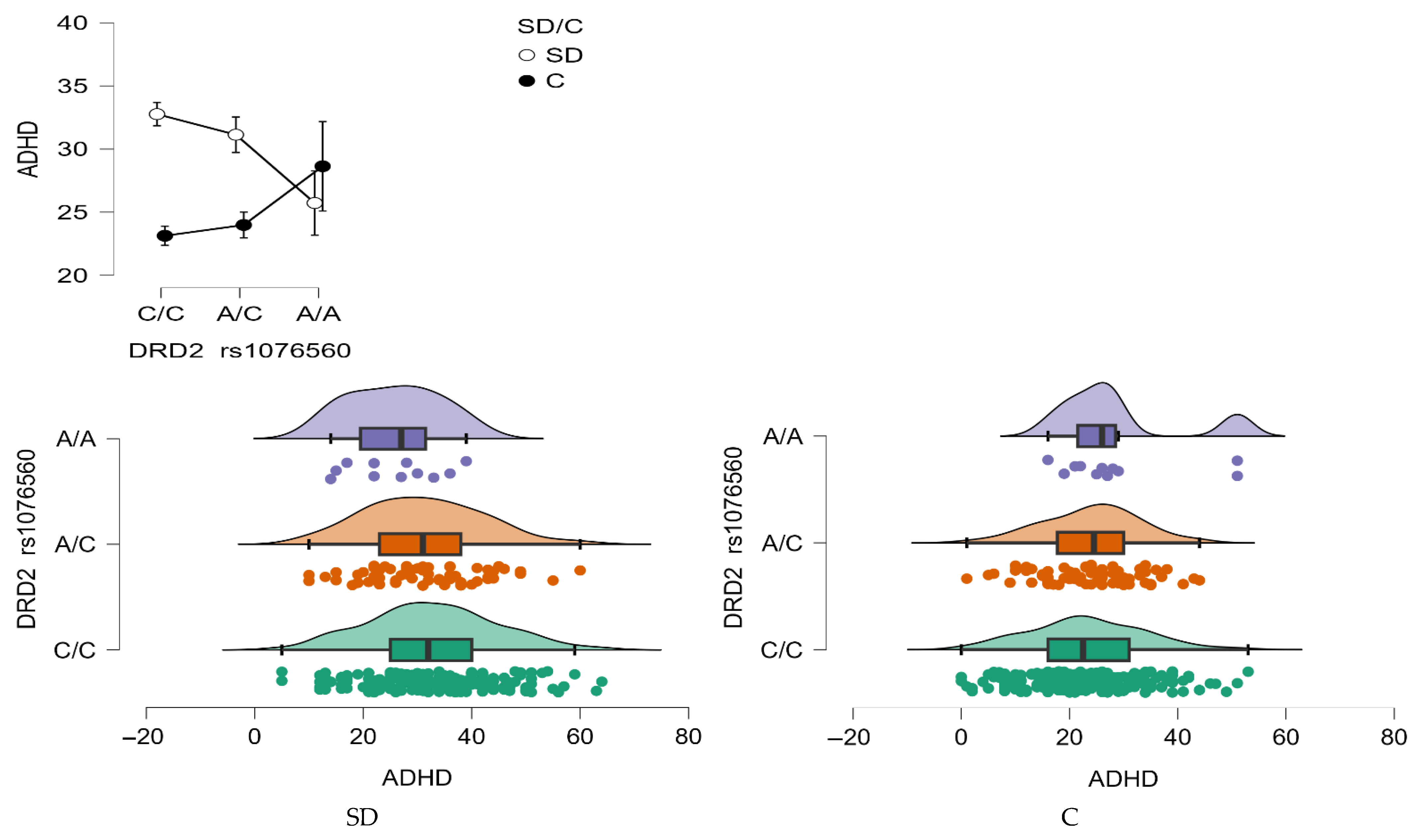 Neurolint 17 00182 g008