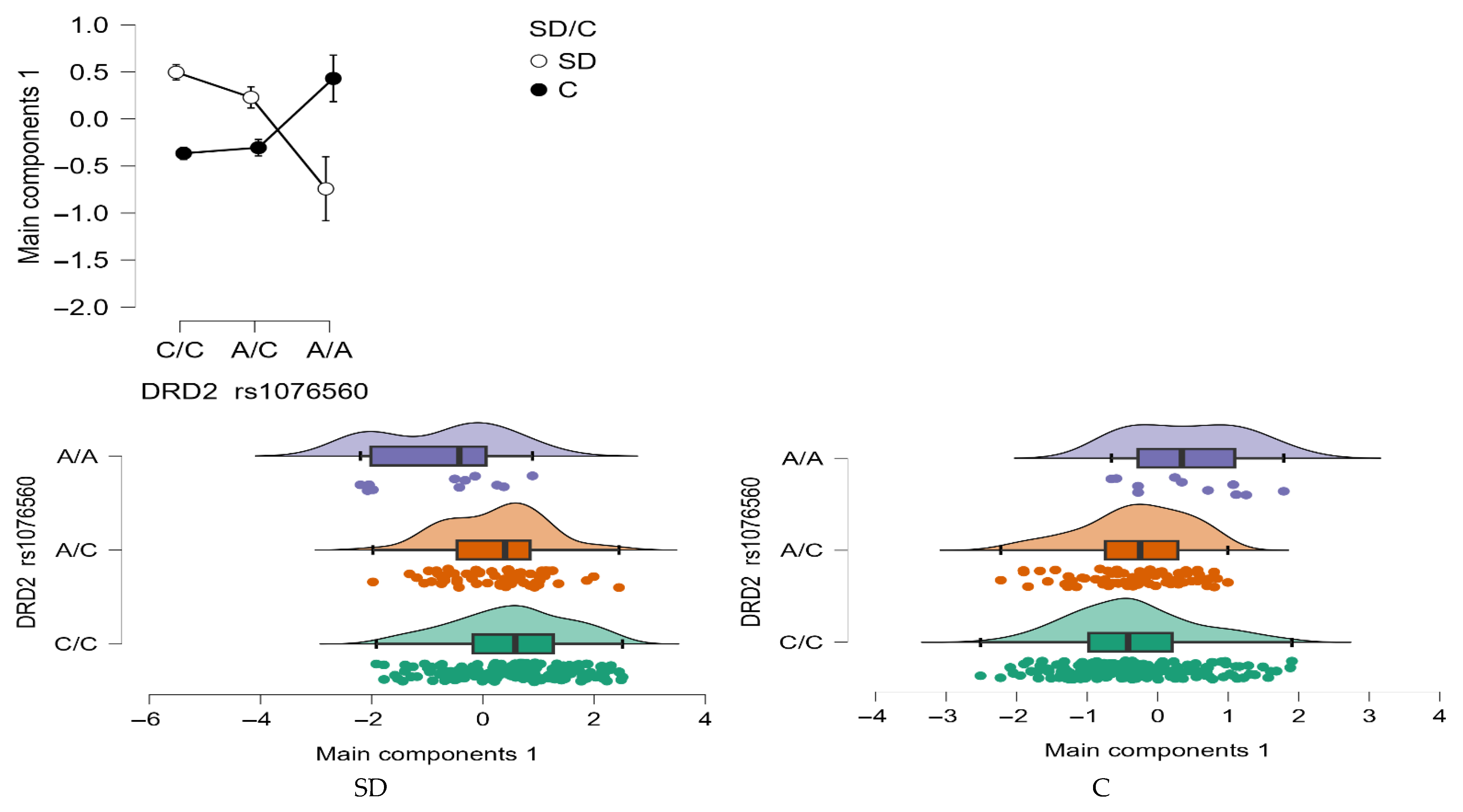 Neurolint 17 00182 g009