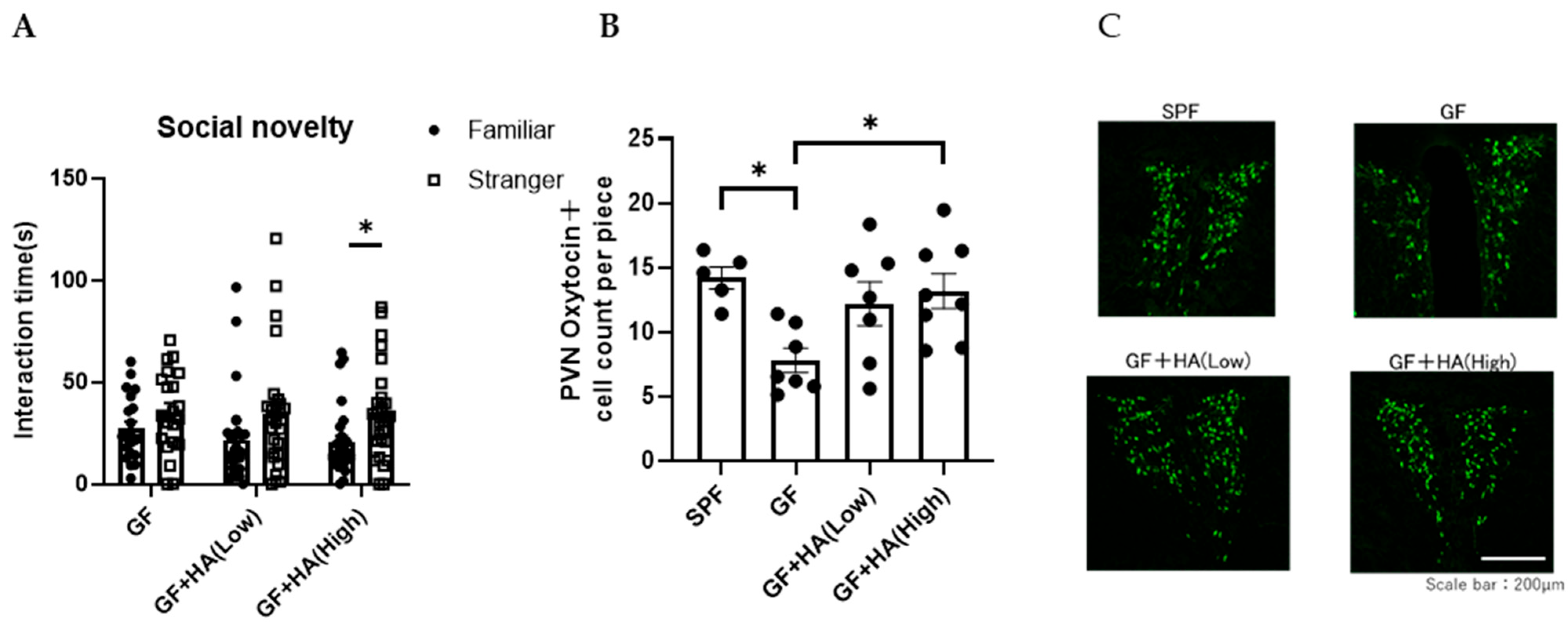 Neurolint 17 00185 g002