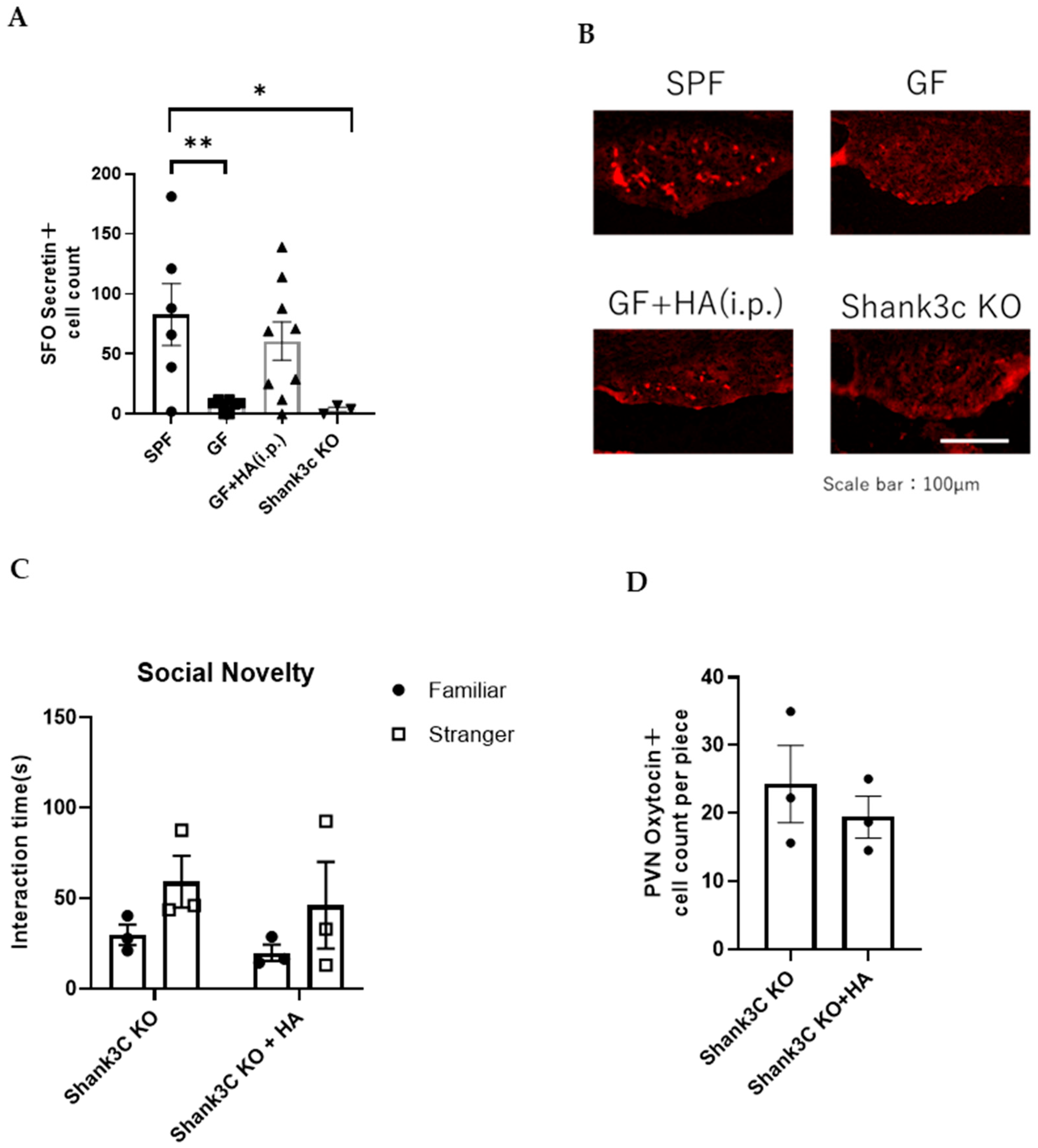 Neurolint 17 00185 g005