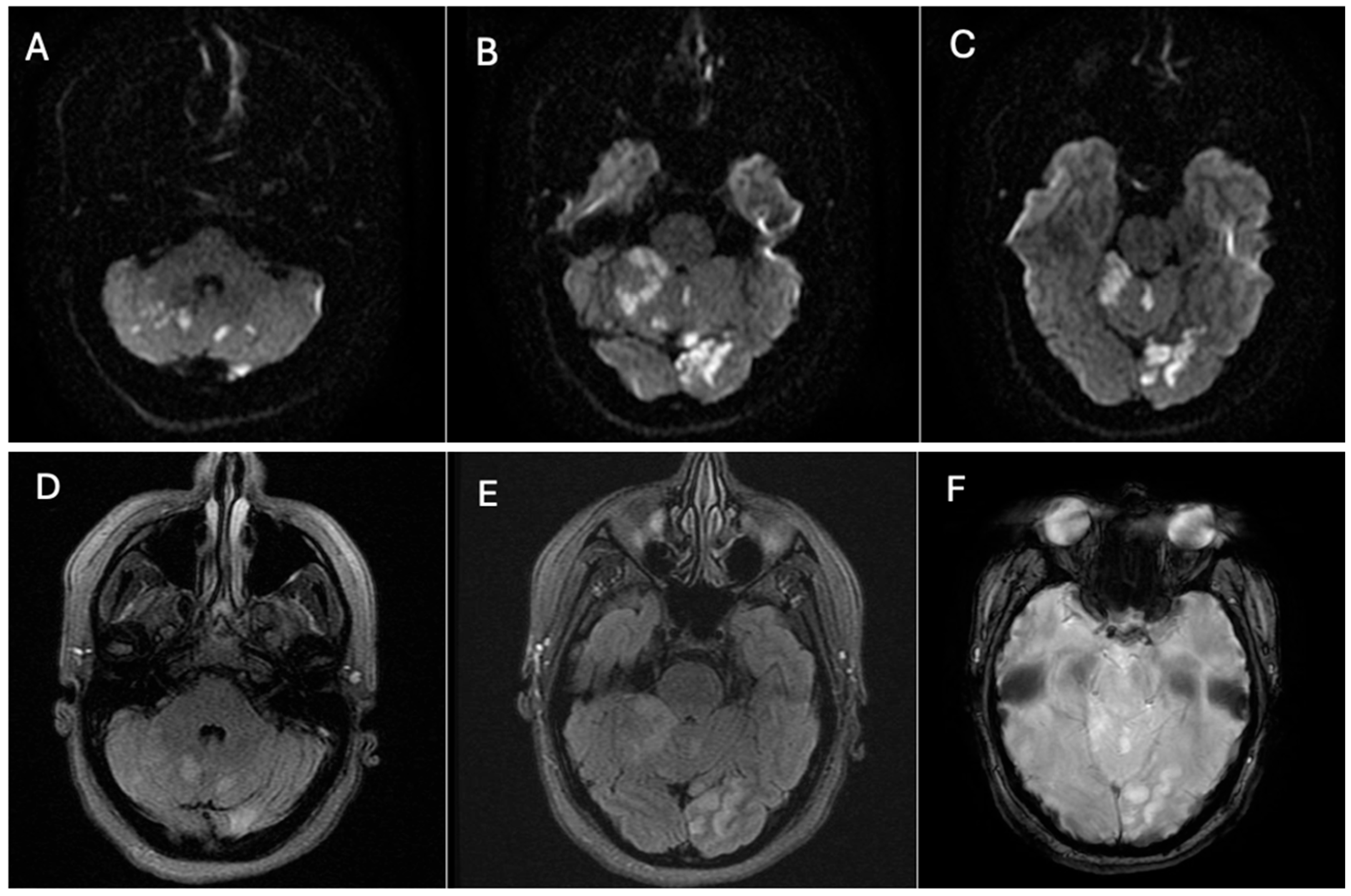 Neurolint 17 00187 g001
