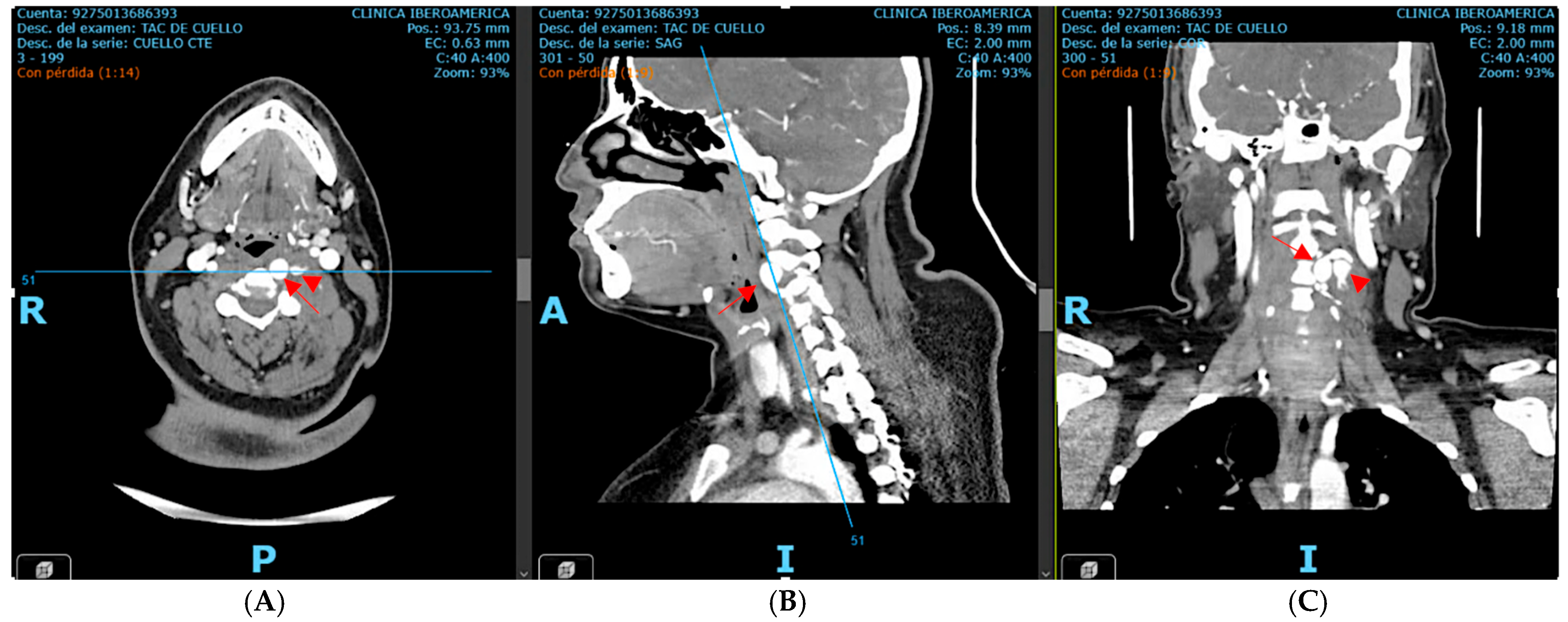 Neurolint 17 00187 g002