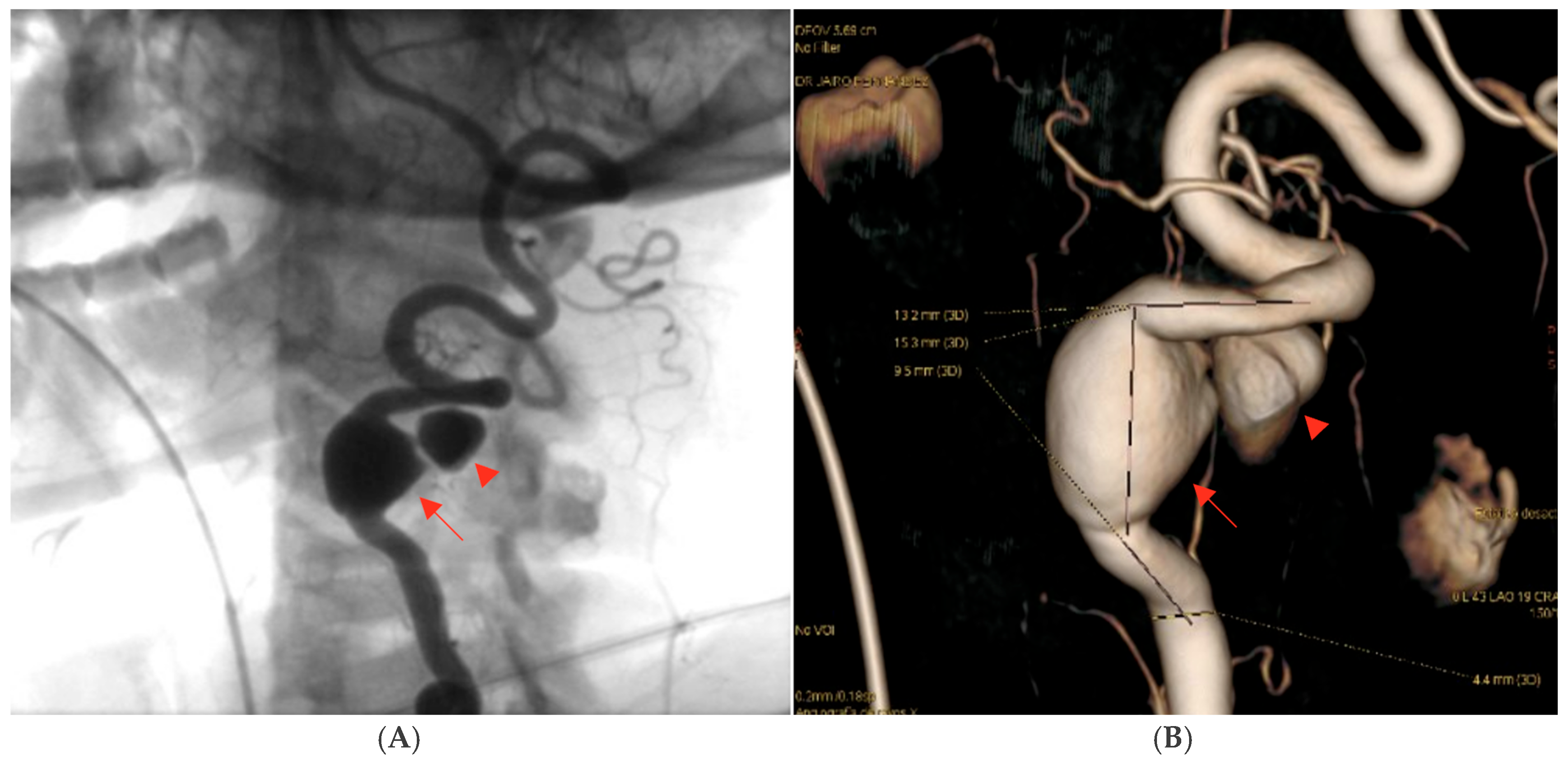 Neurolint 17 00187 g003