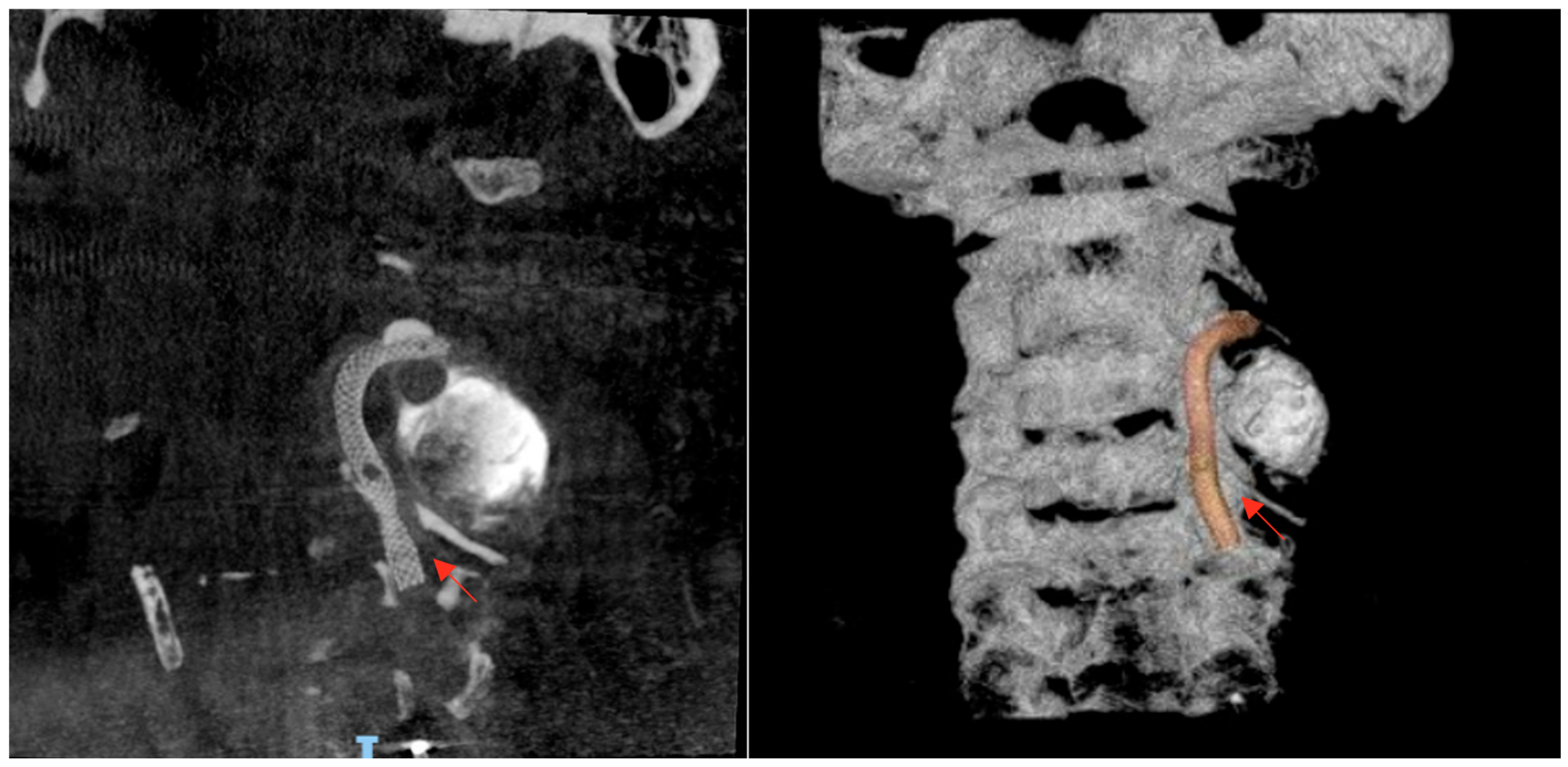 Neurolint 17 00187 g004