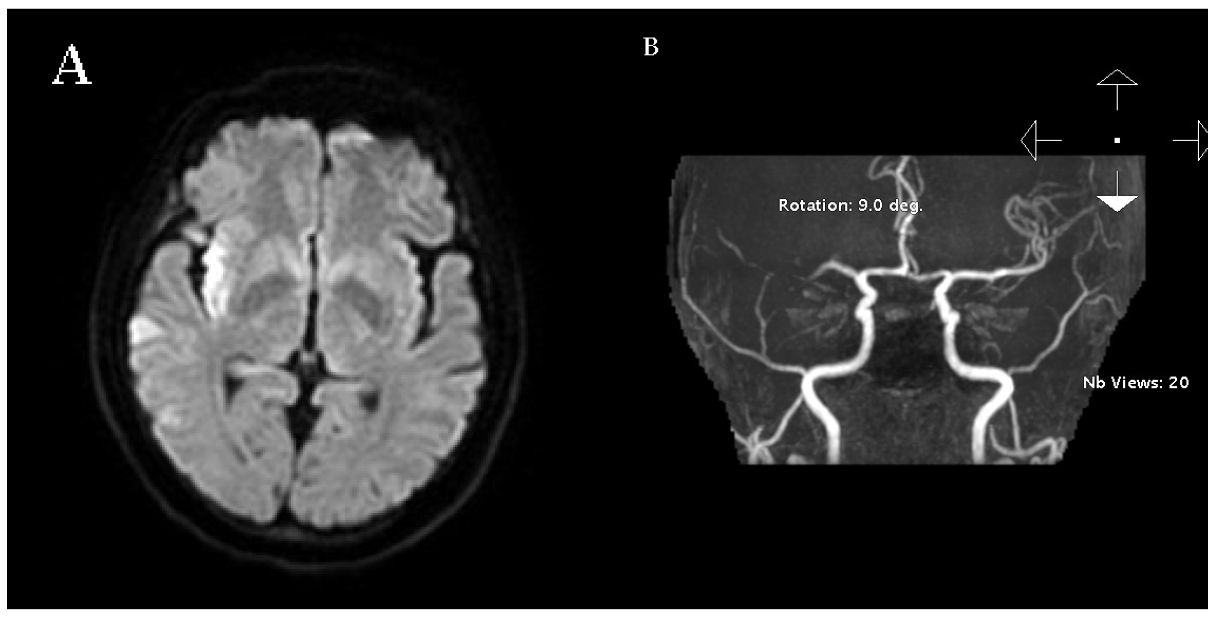 Neurolint 17 00190 g001
