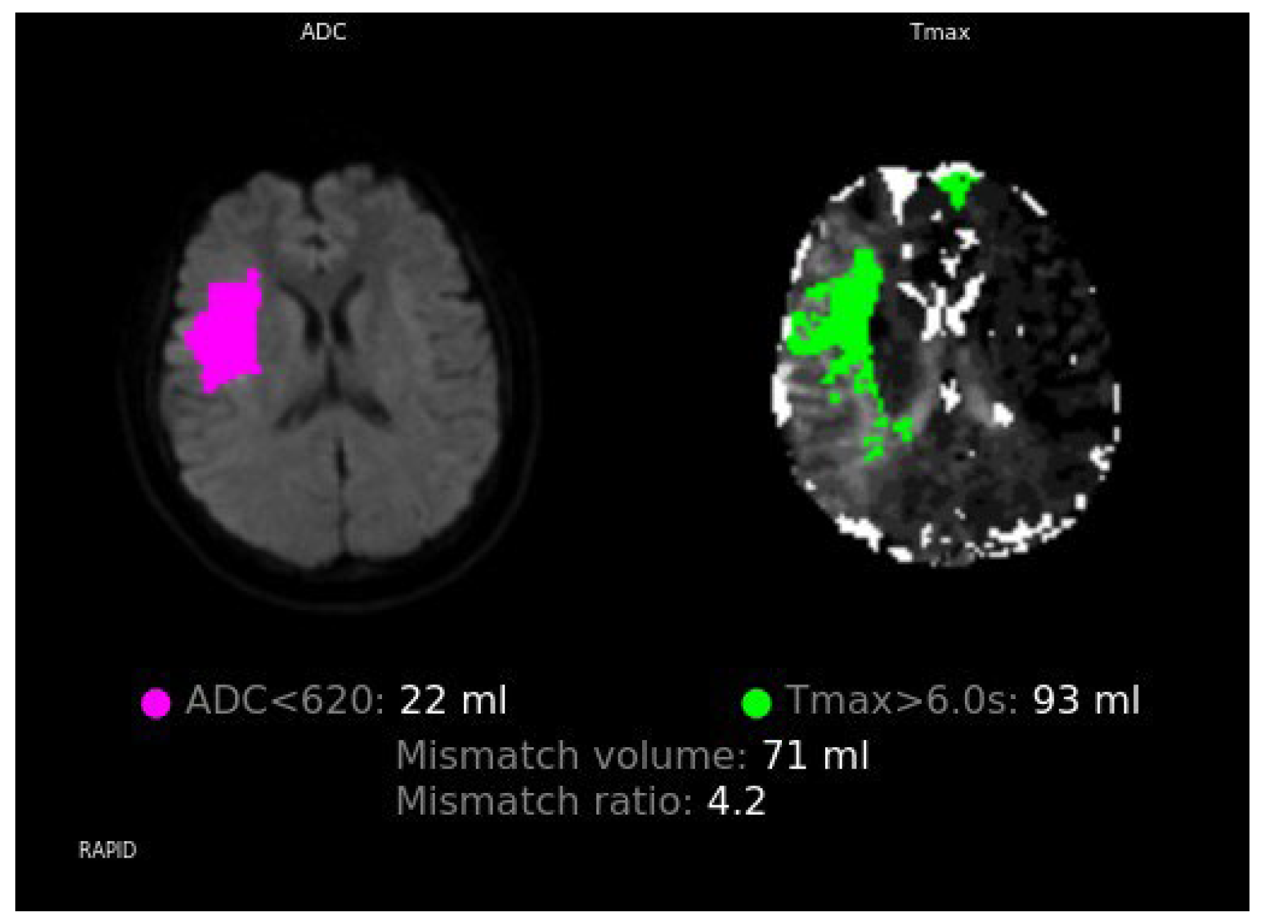 Neurolint 17 00190 g002