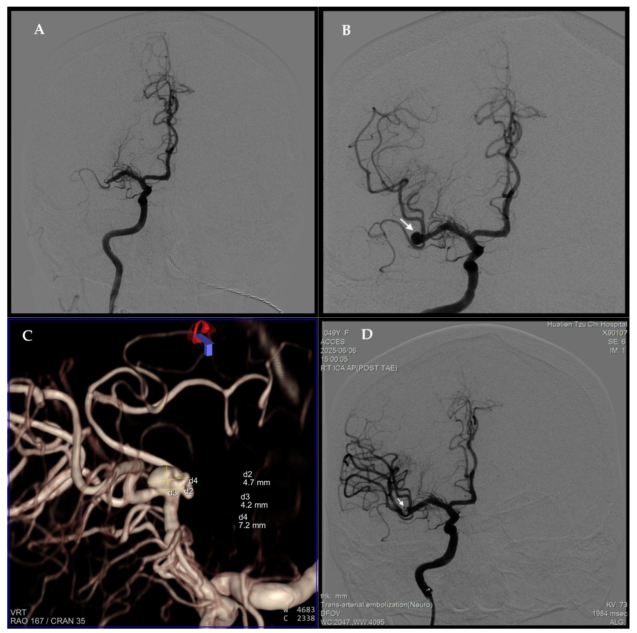 Neurolint 17 00190 g003