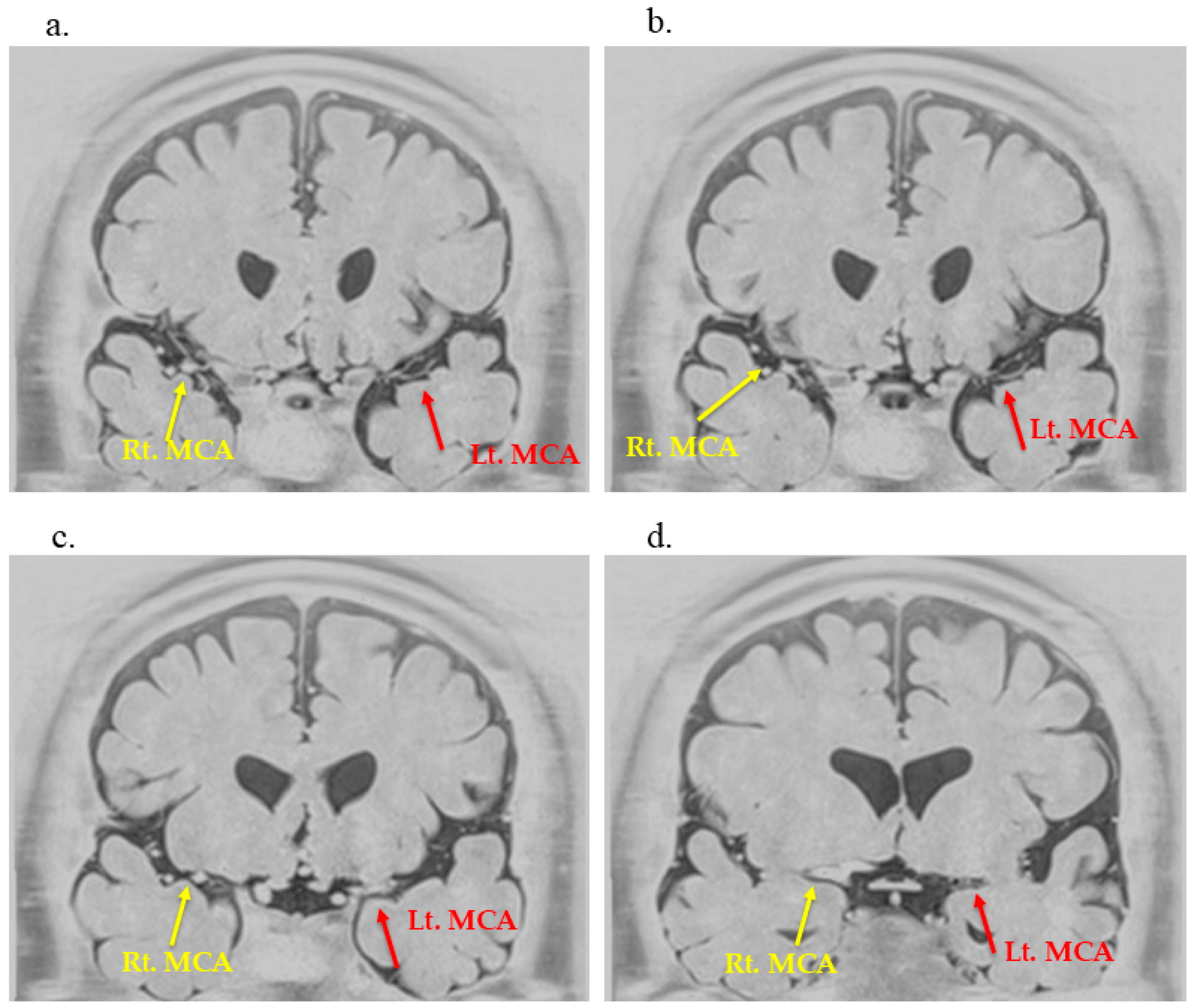 Neurolint 17 00191 g002
