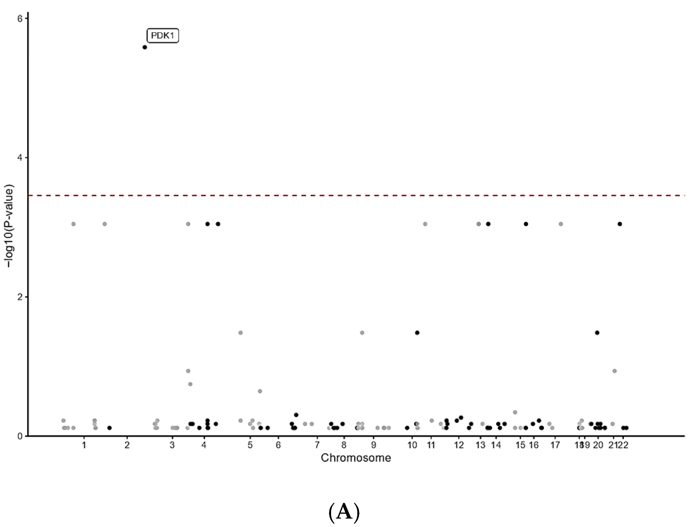 Neurolint 17 00199 g001a Neurolint 17 00199 g001a