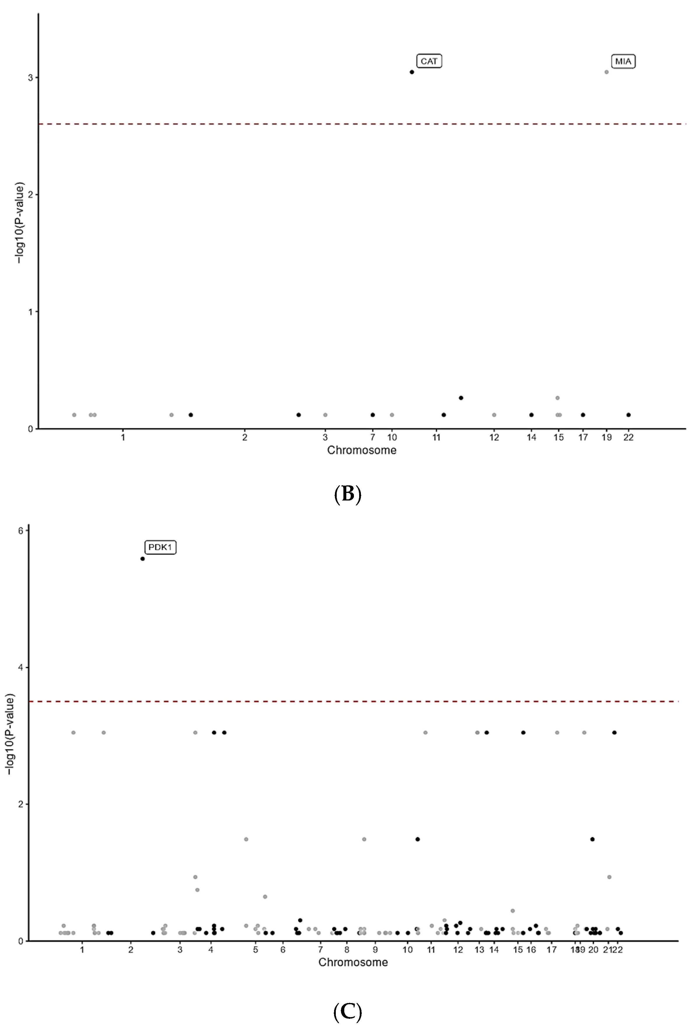 Neurolint 17 00199 g001b Neurolint 17 00199 g001b