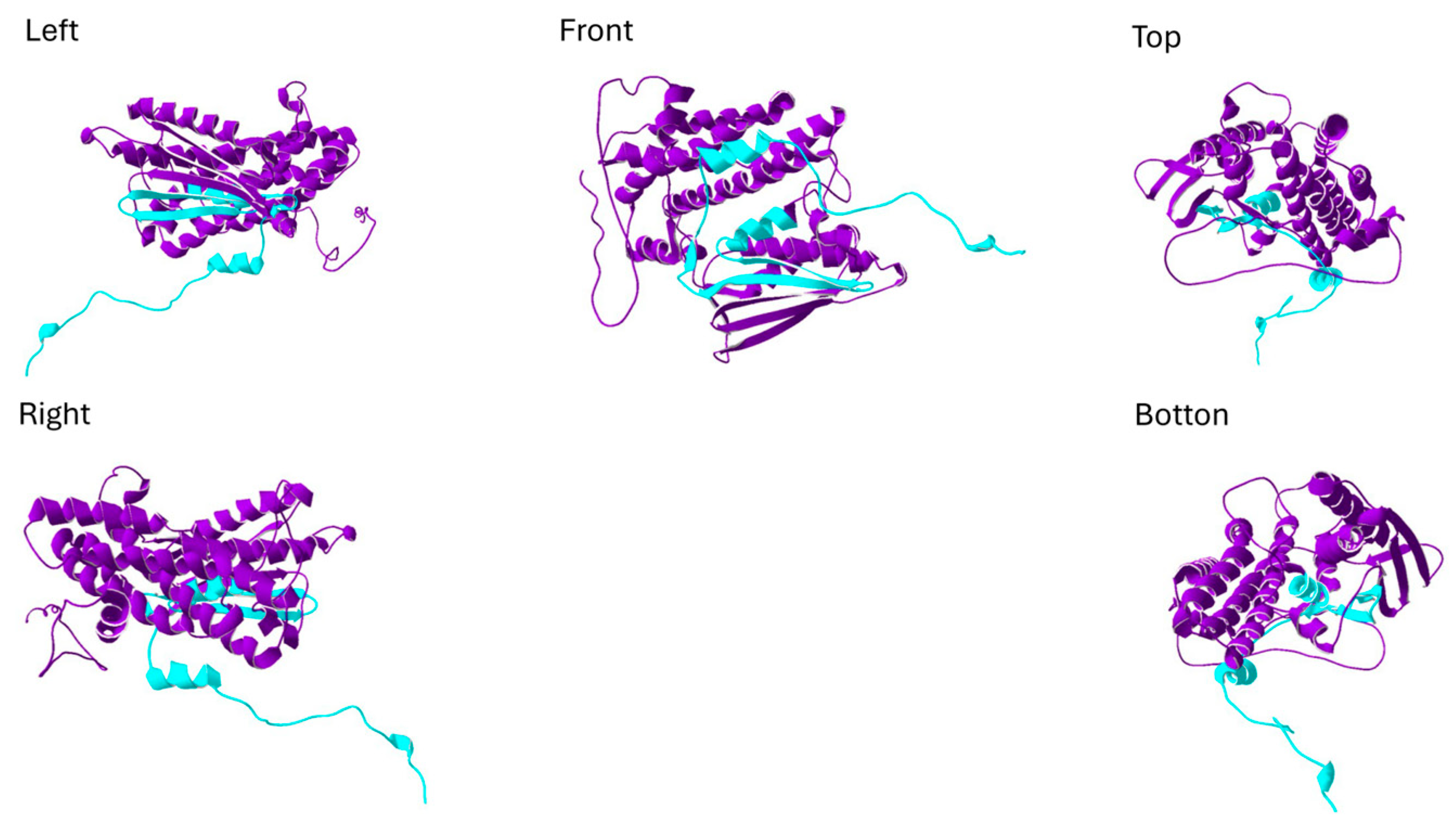 Neurolint 17 00199 g002 Neurolint 17 00199 g002